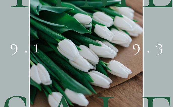 Instagram 投稿作品　（トレース作品）