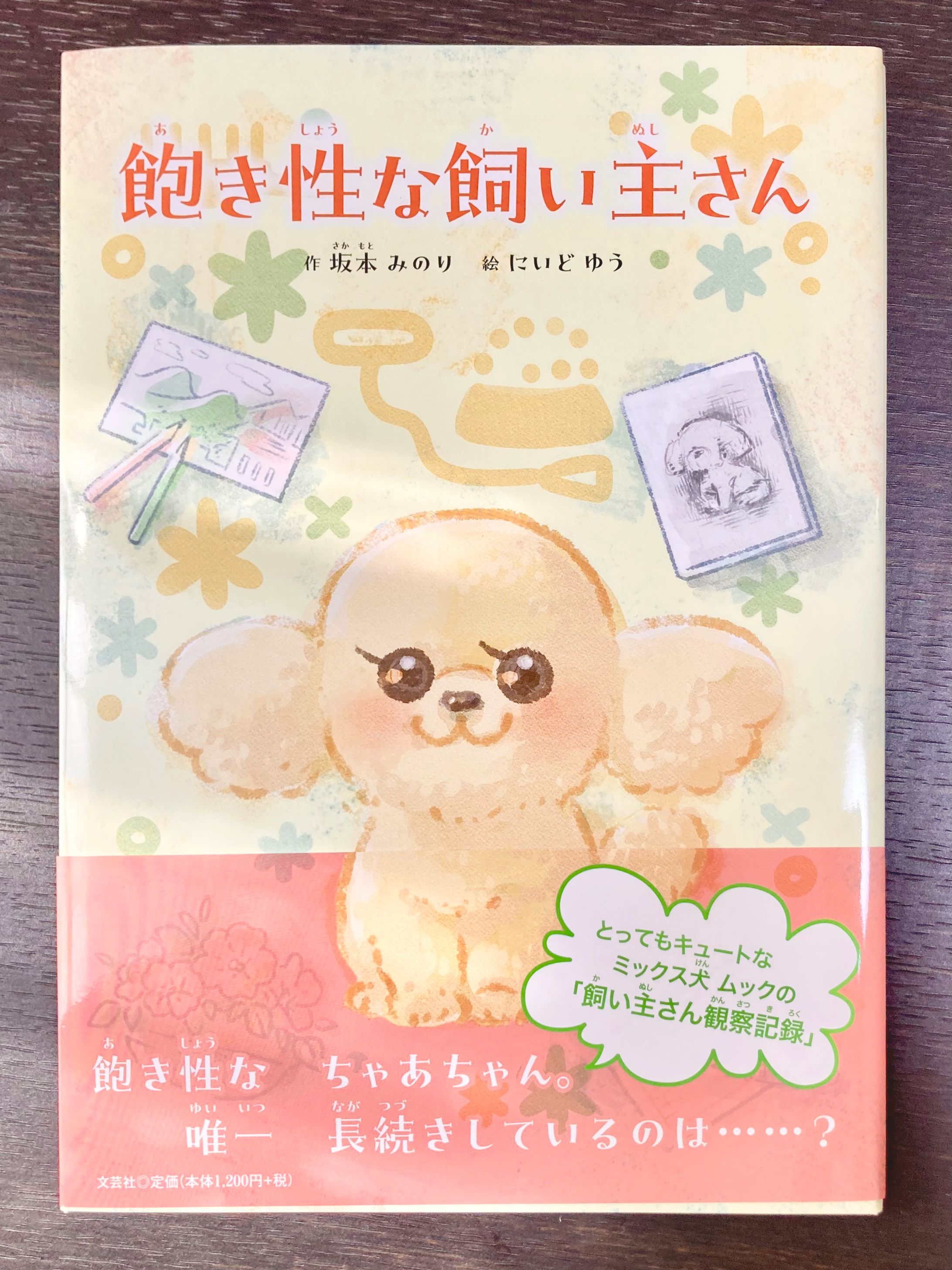 絵本「飽き性な飼い主さん」-1