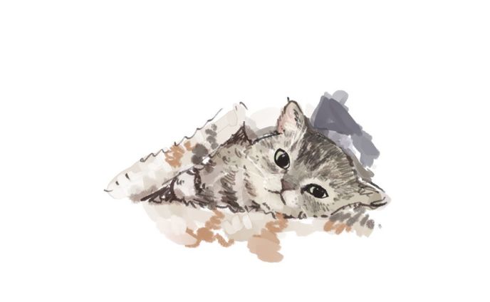 動物イラスト