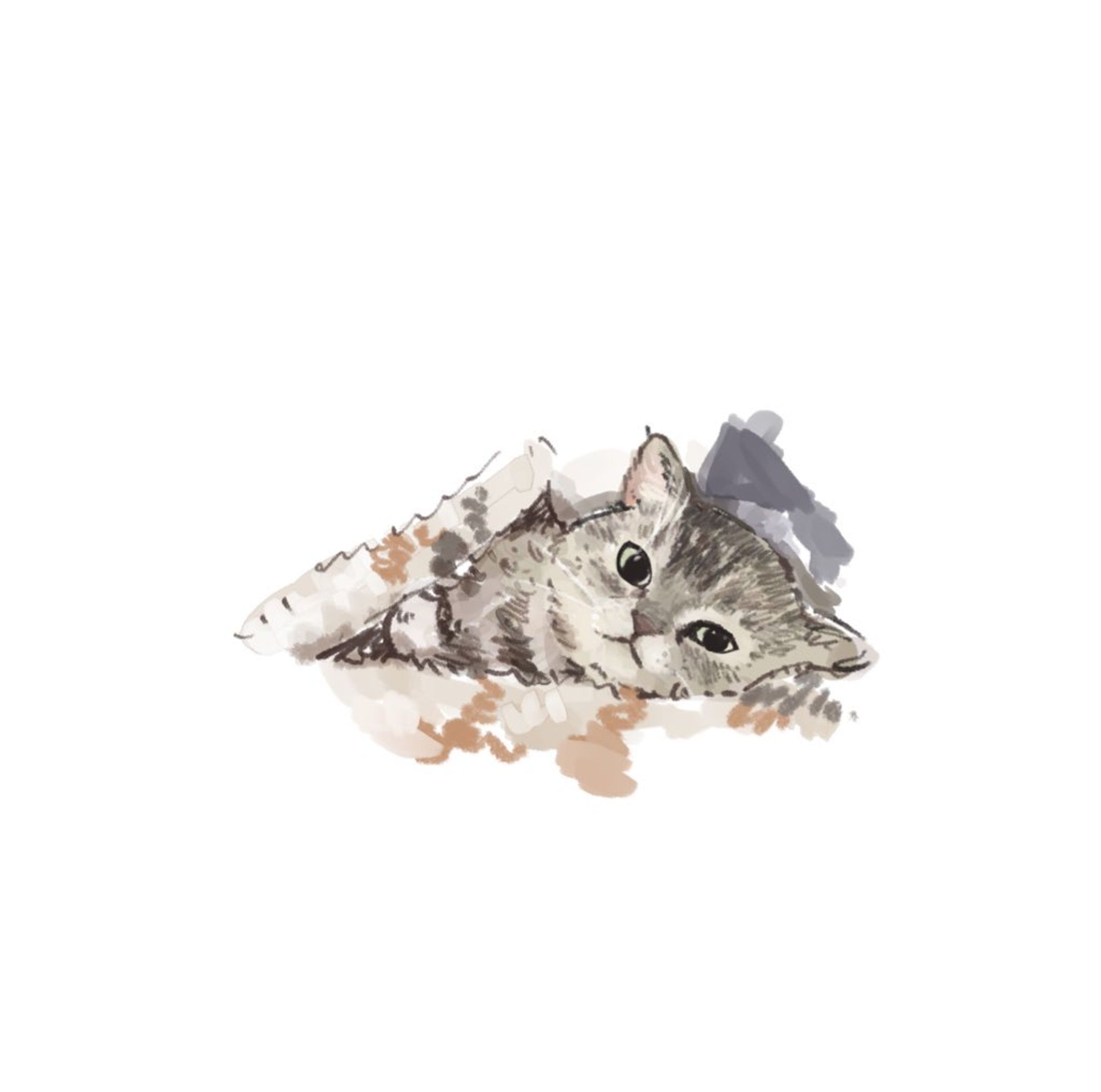 動物イラスト-1