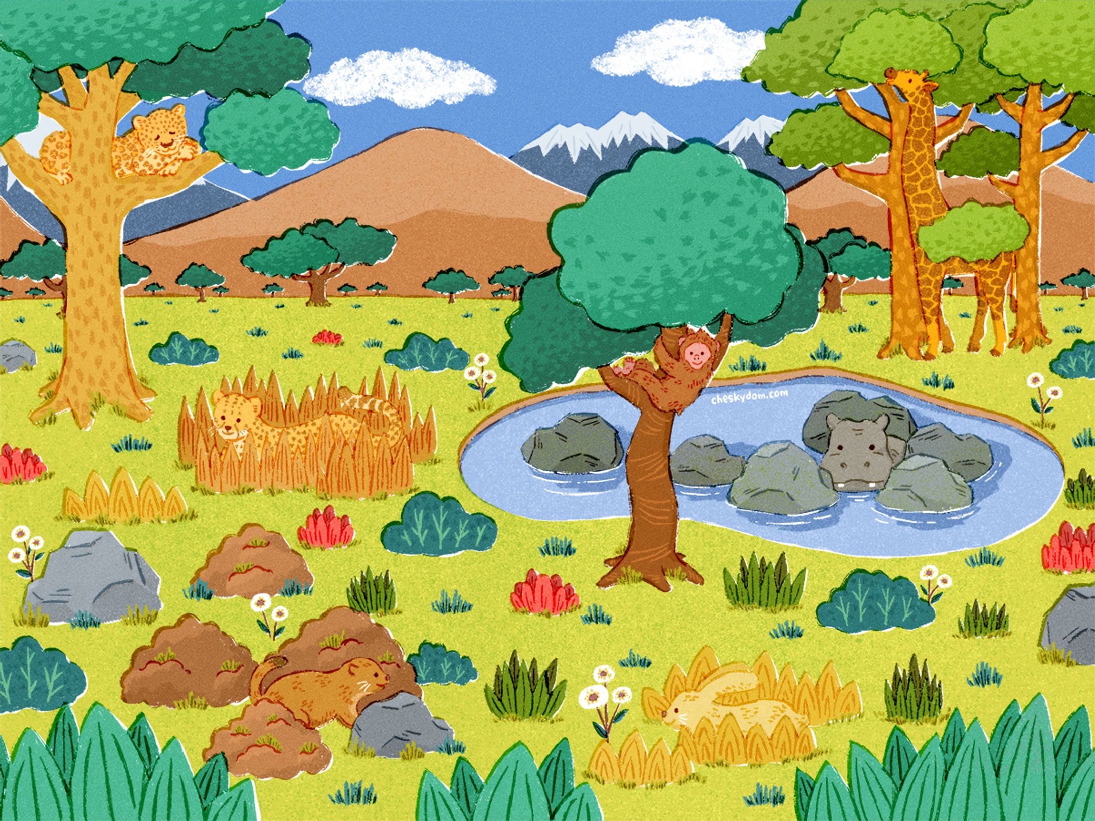 Find the animals-1