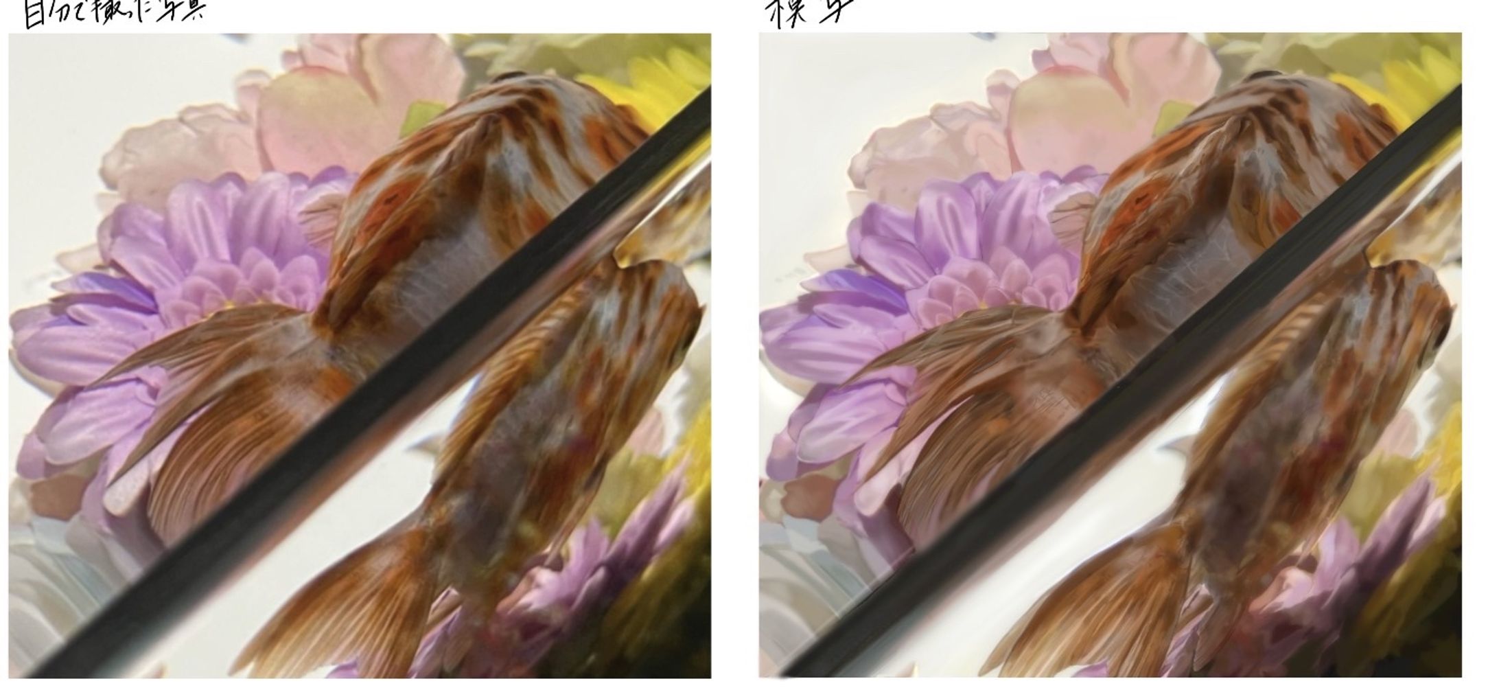 アートアクアリウム金魚模写-1
