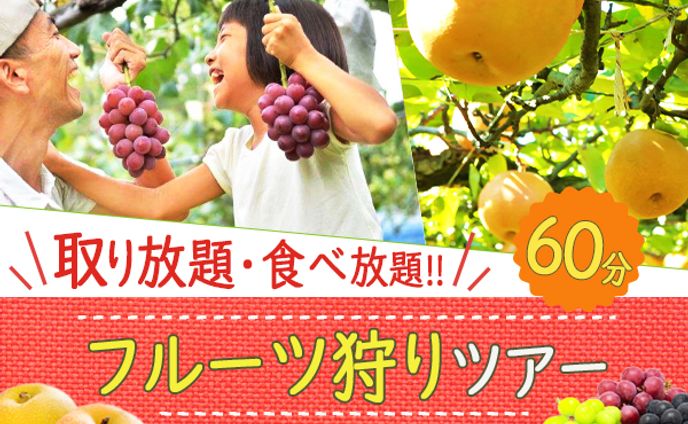 フルーツ狩り：バナー