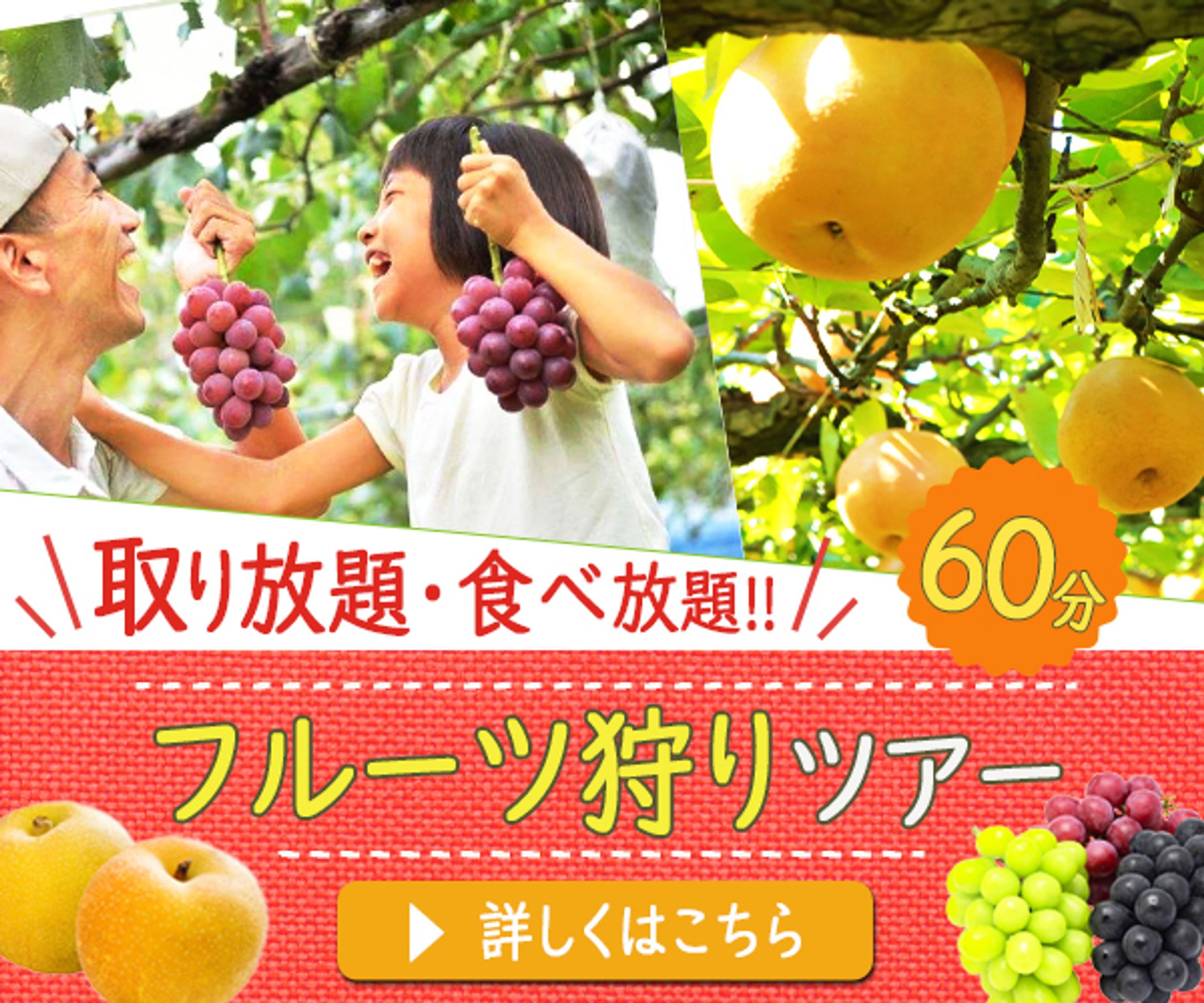 フルーツ狩り：バナー-1