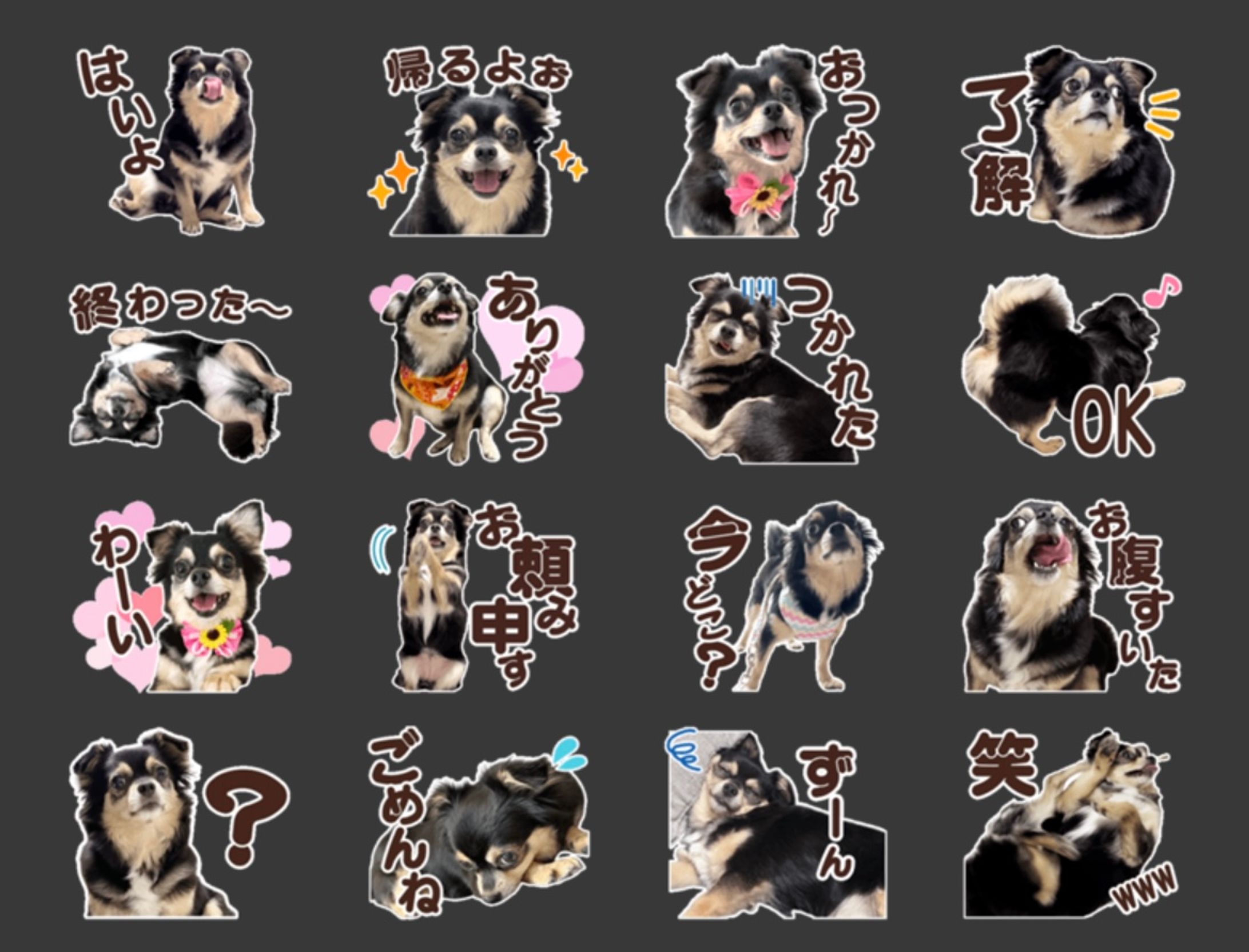 愛犬LINEスタンプ-1