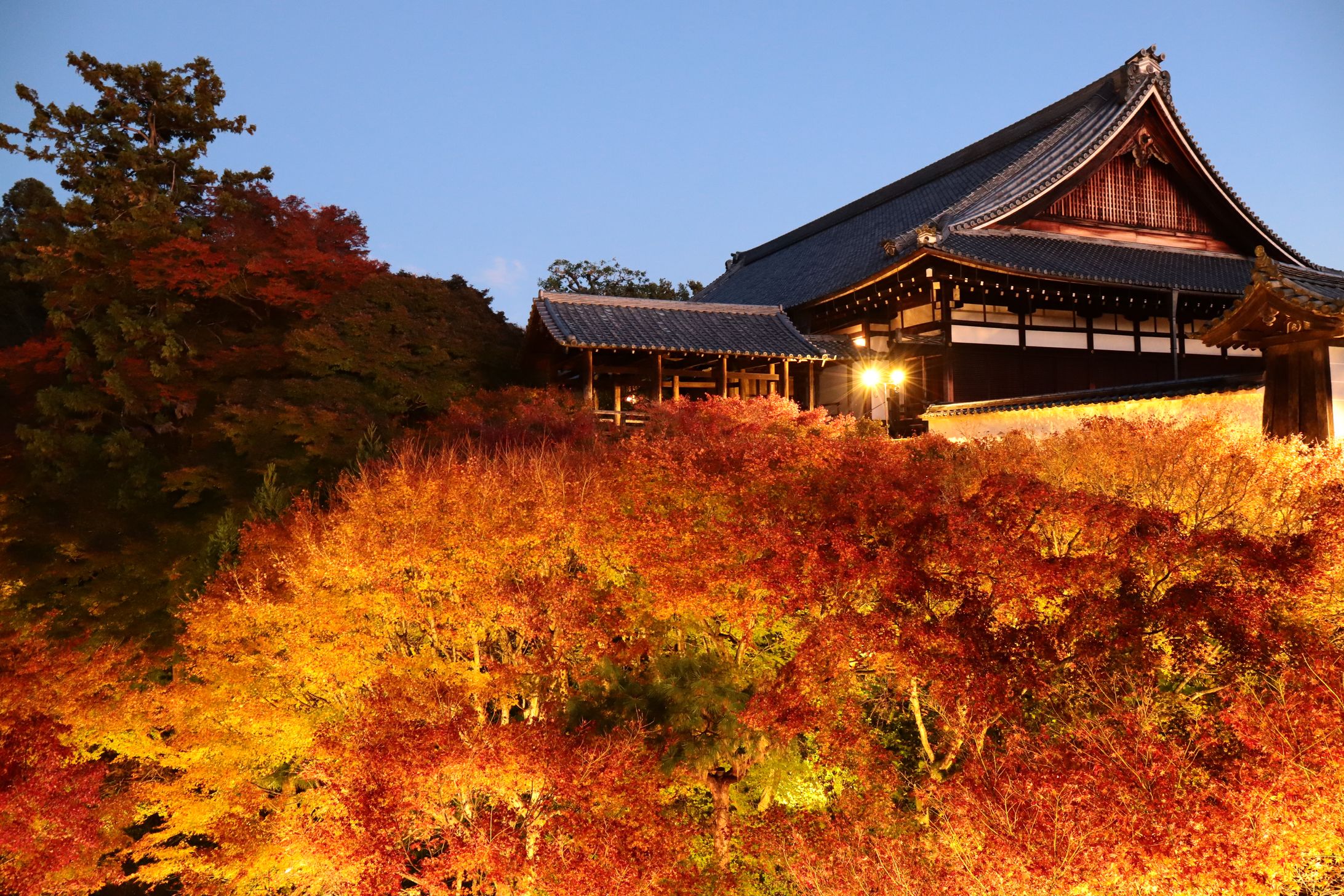 京都府  東福寺-1