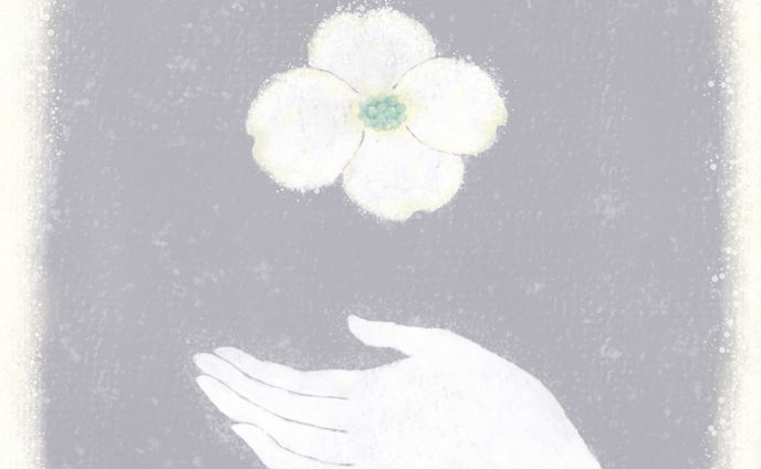 illust、ポストカード