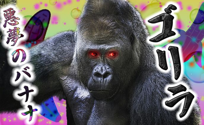 動物やコスメなどのサムネイル