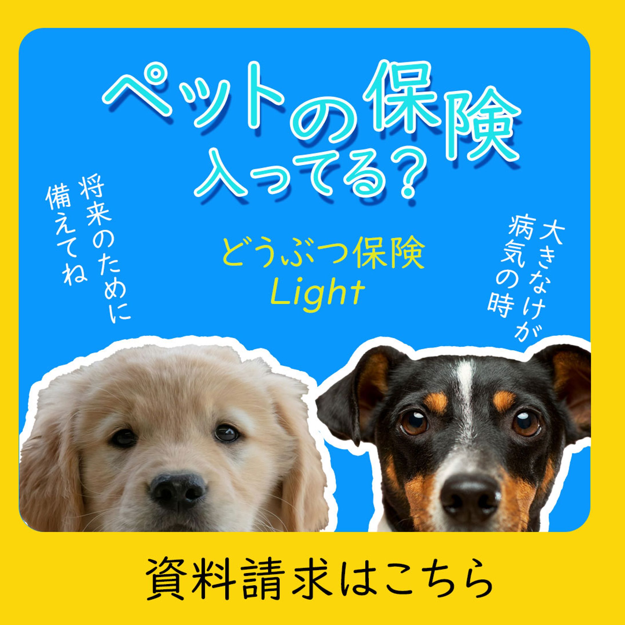 ペット保険バナー-1
