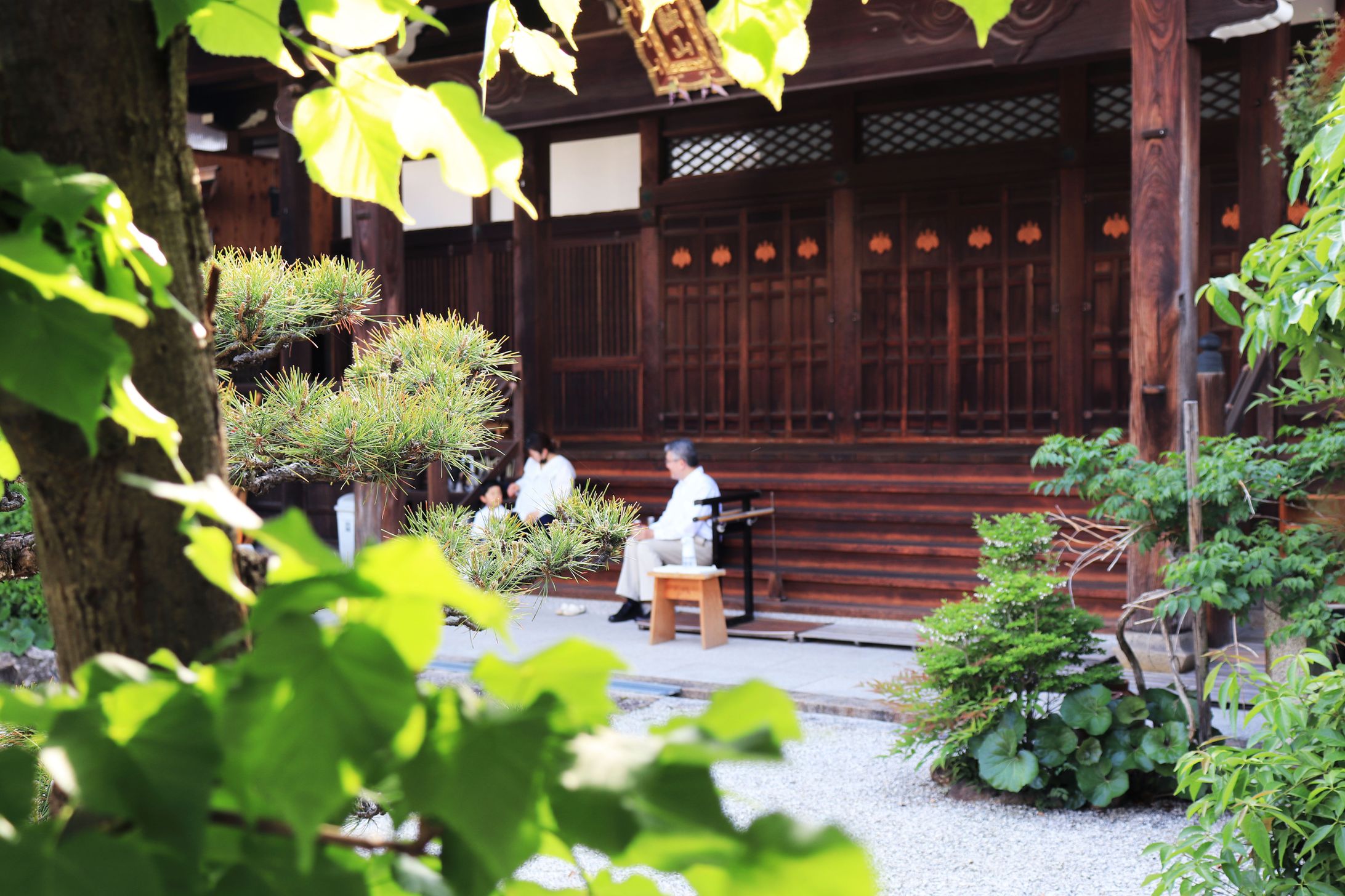妙樂寺 ホームページ用画像撮影-1