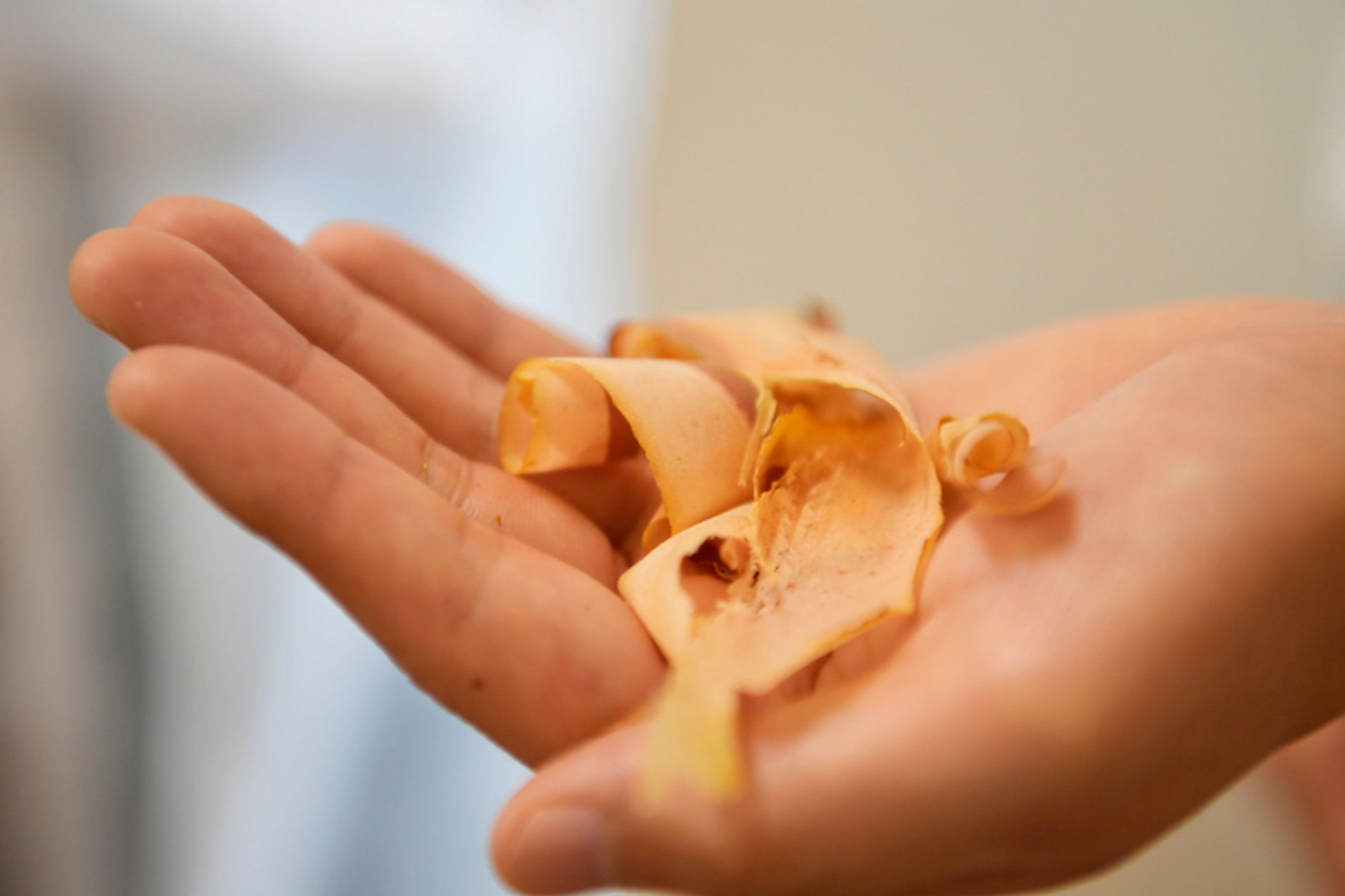 Alibaba JAPAN PRESS 小林食品株式会社-1