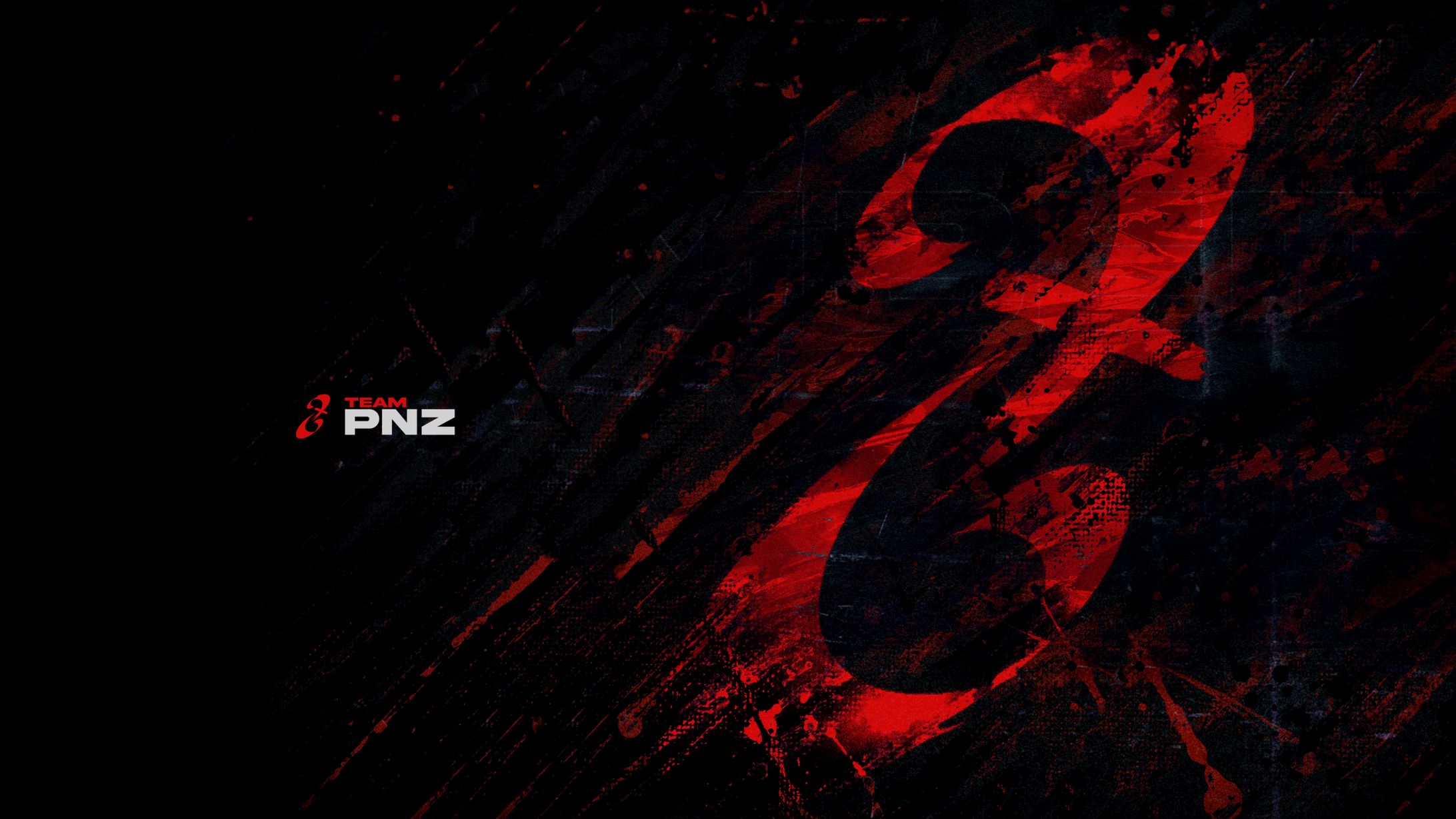 PNZ / RE Branding-1