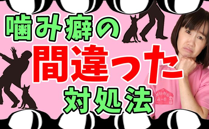 噛み癖の間違った対処法