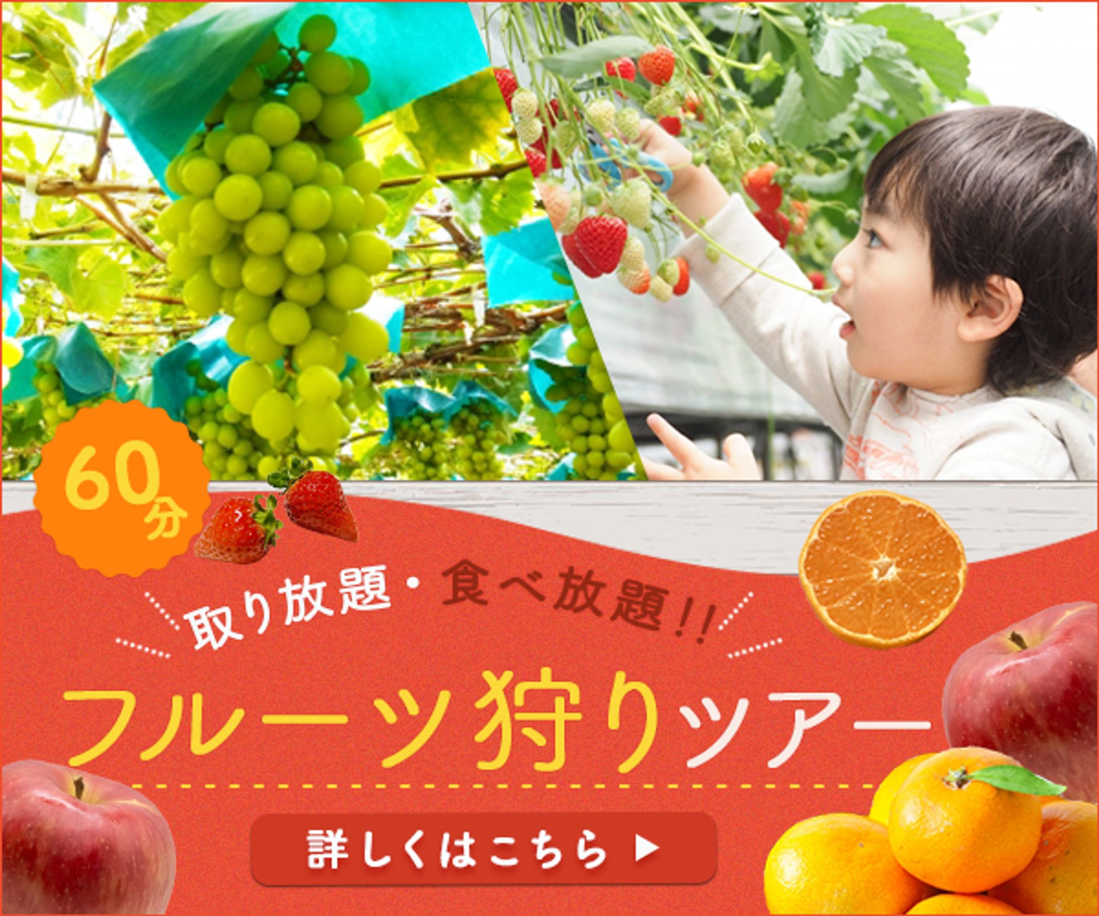 【バナー】フルーツ狩りバナー　-1