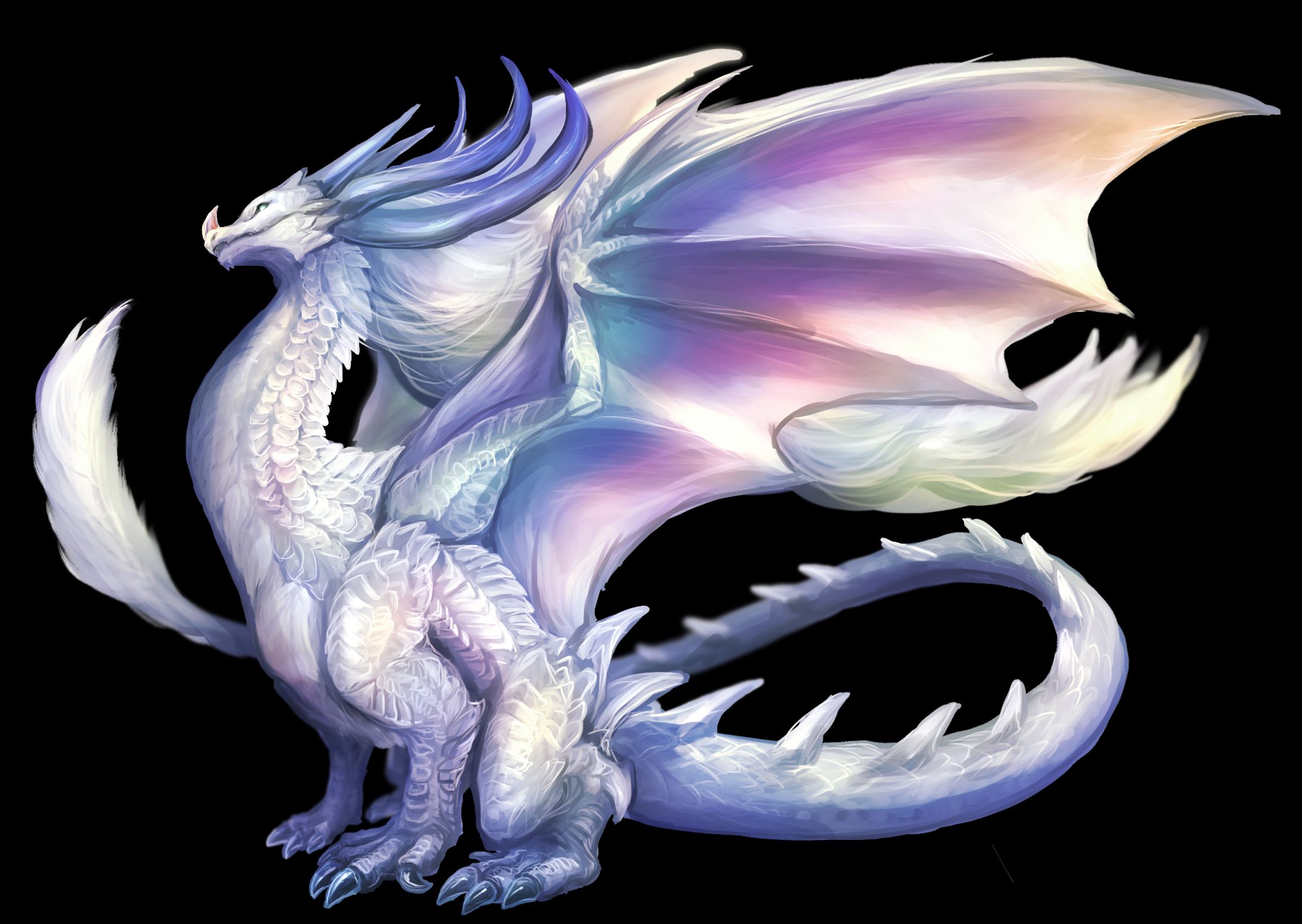 ドラゴン(綺麗系)-1