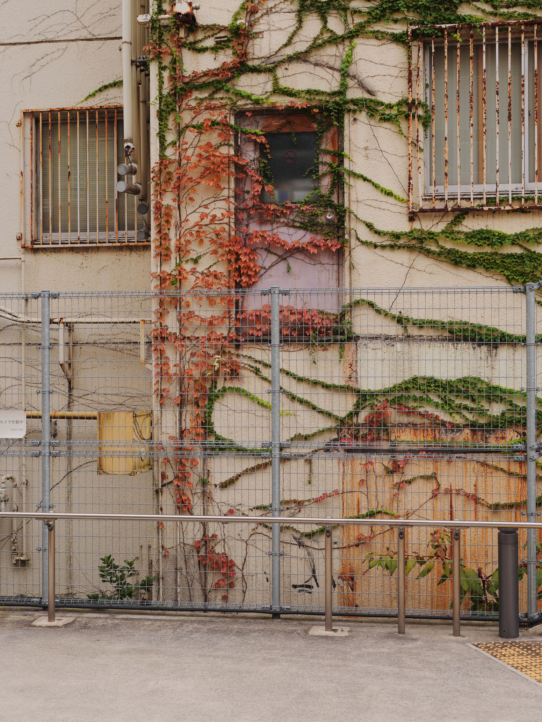 スナップ写真-1