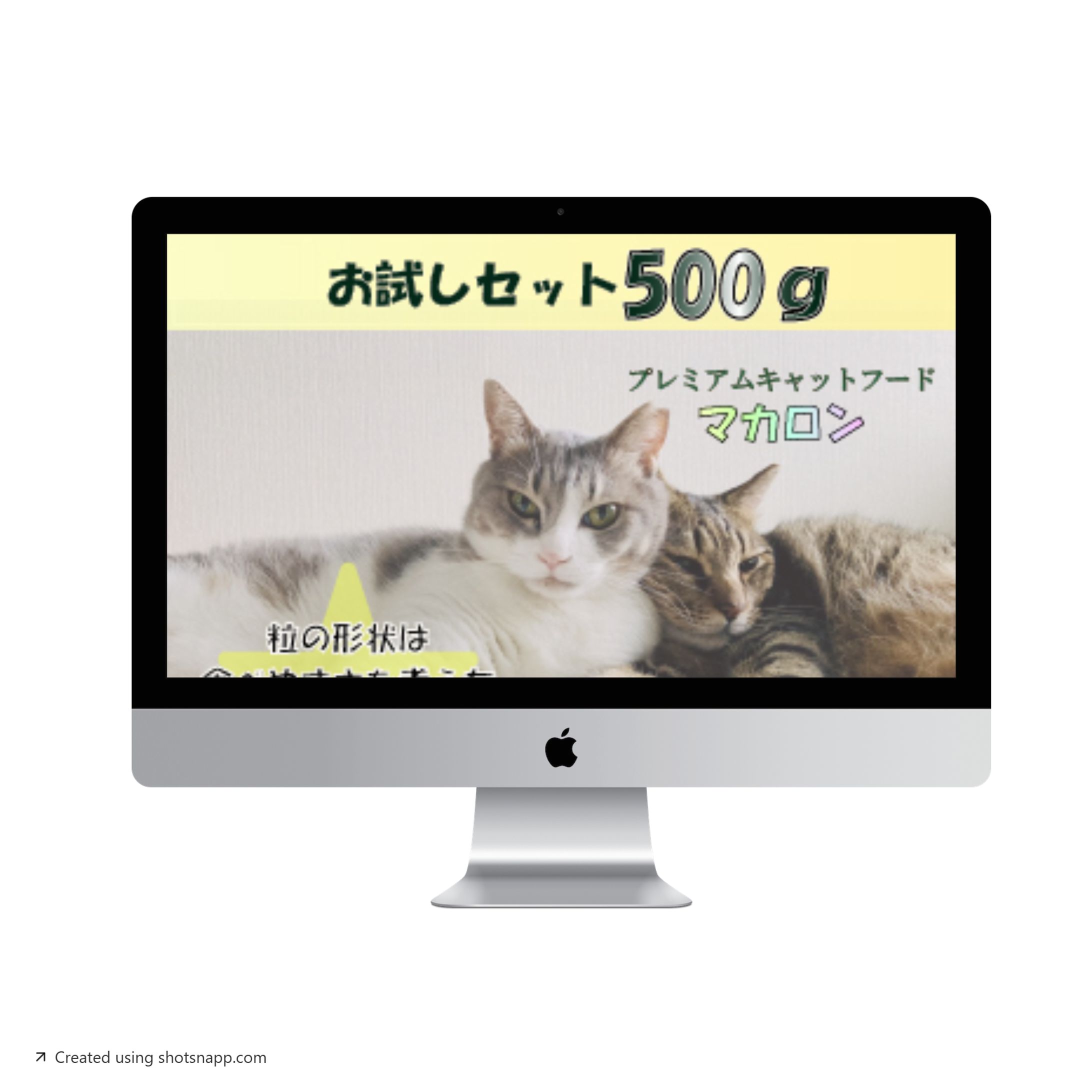 ペットフード系バナー-1