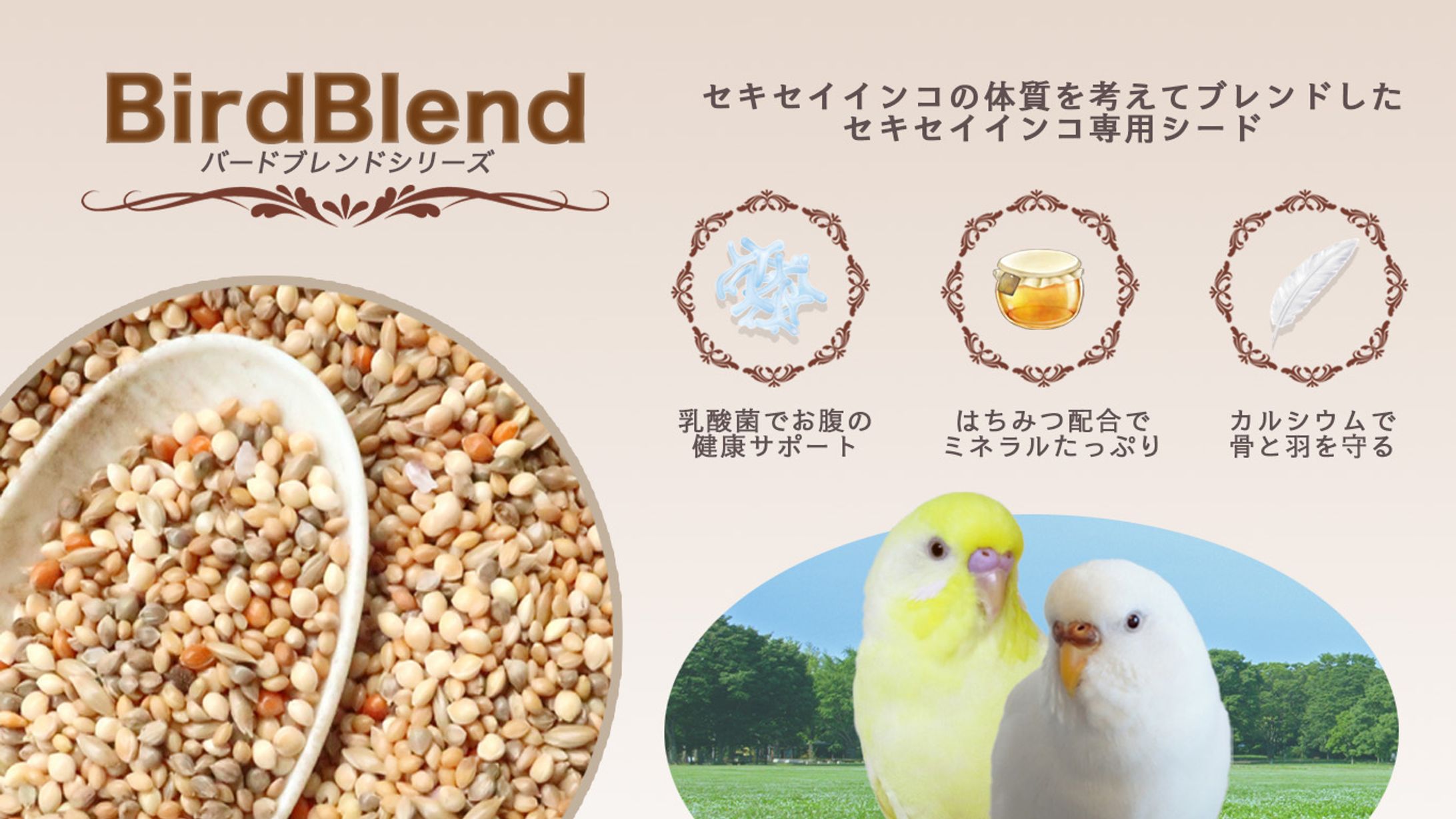 【練習】架空のインコのごはんブランド-1