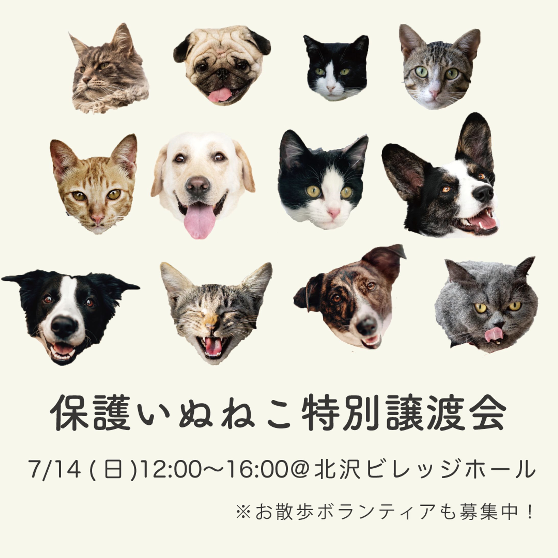 保護動物譲渡会のバナー-1