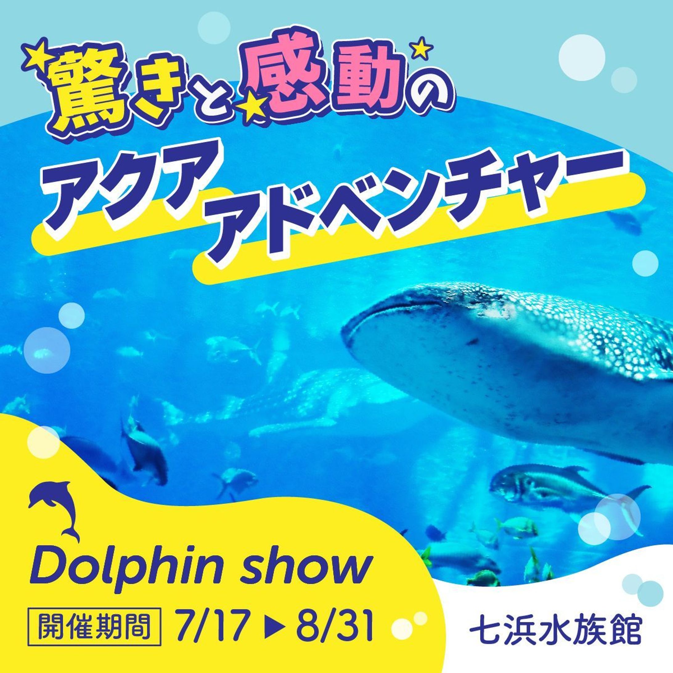 バナー 水族館-1