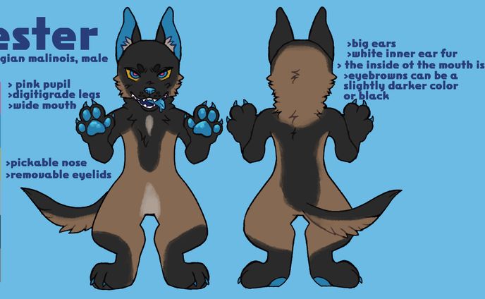 fursona ref sheets