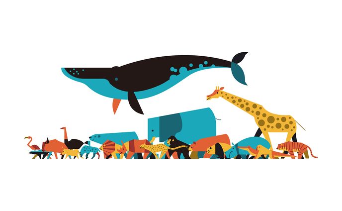 Walking Animals