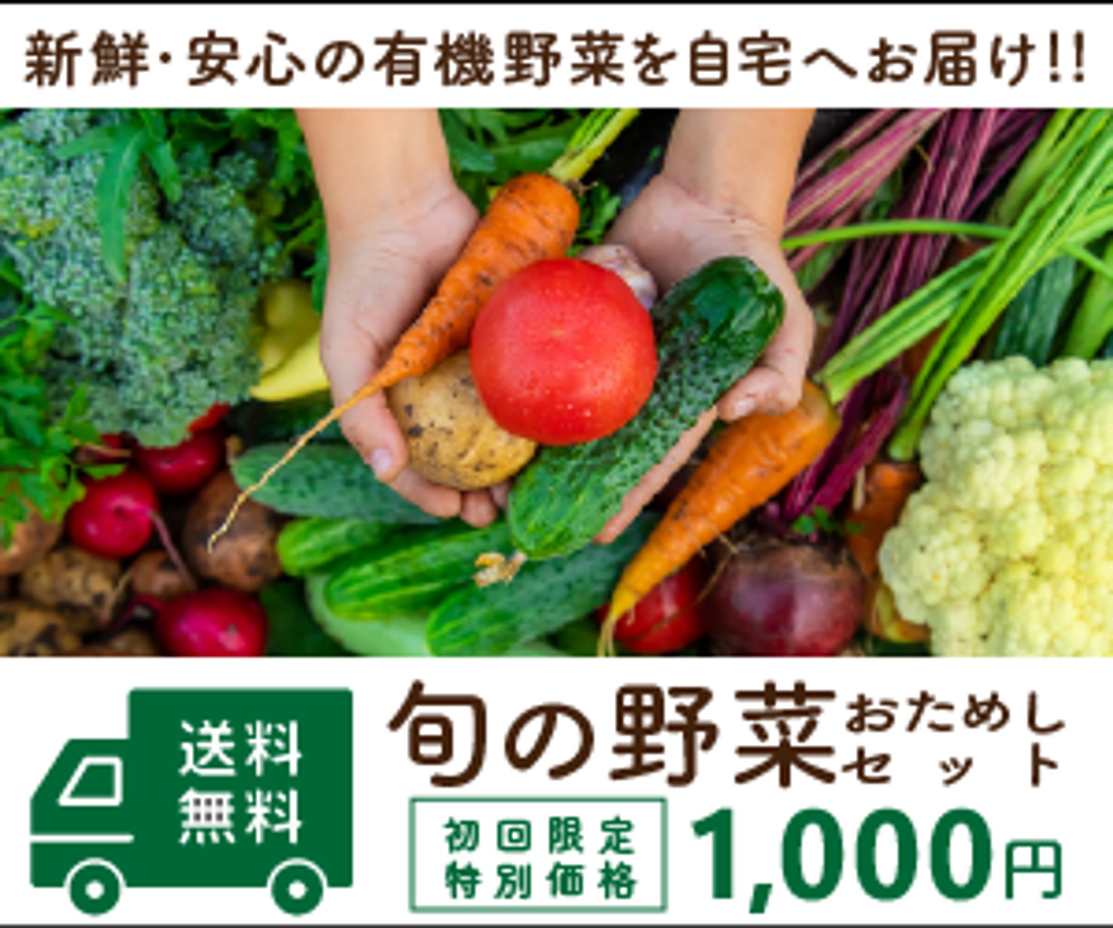 有機野菜バナー-1