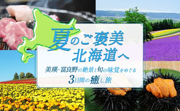 夏の北海道旅行の広告バナー