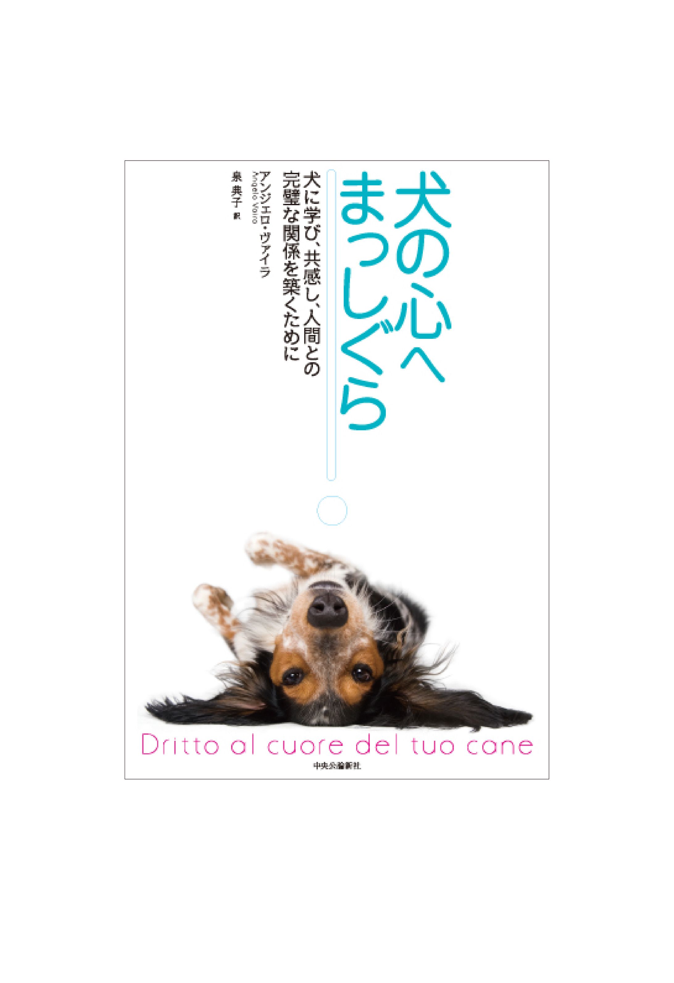犬の心へまっしぐら-1