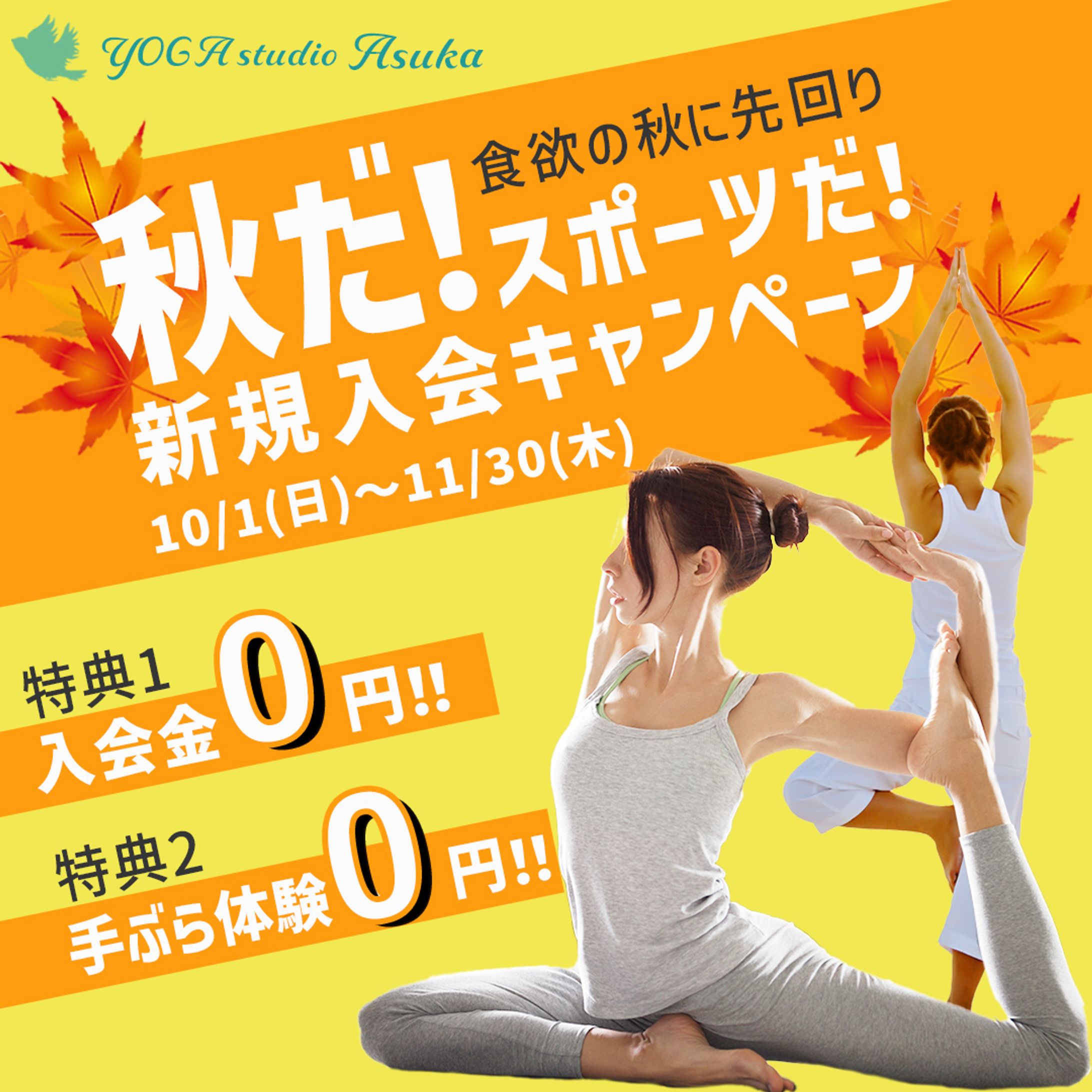 ヨガスタジオ 入会キャンペーン告知バナー(架空)-1