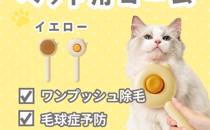 ECサイト出品画像