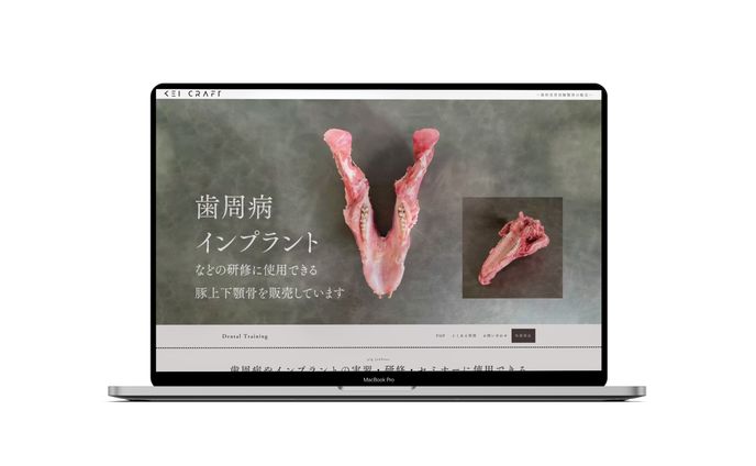 Kei Craft　歯科実習用豚顎骨の販売