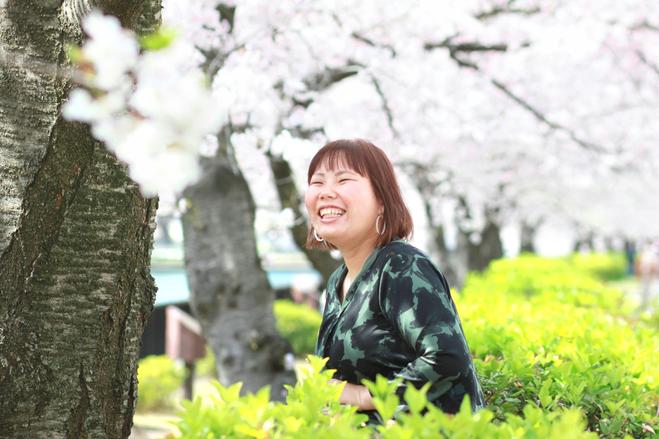 お花見撮影-1