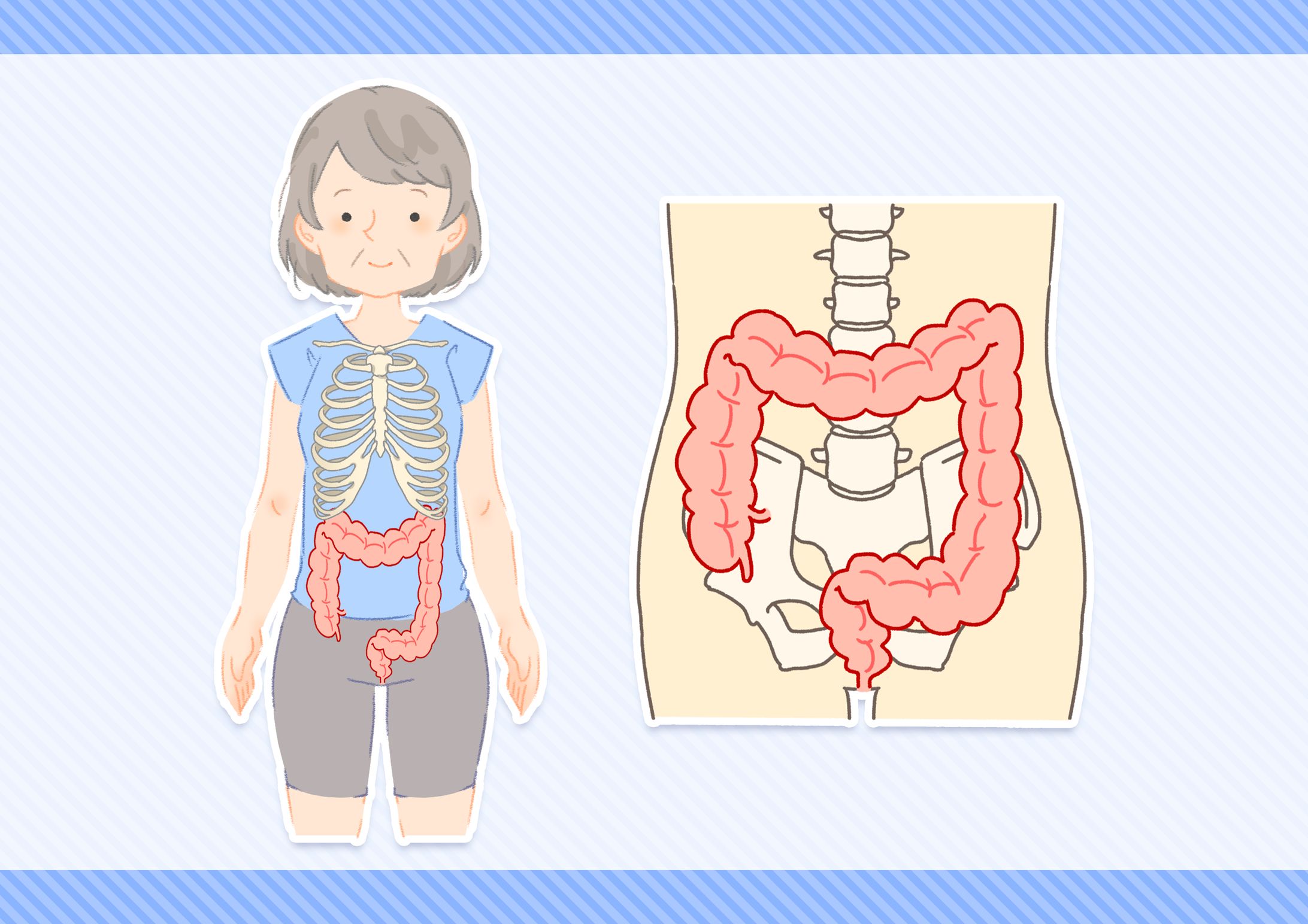 『Dr.水上の今日から始める簡単腸活』イラスト-1