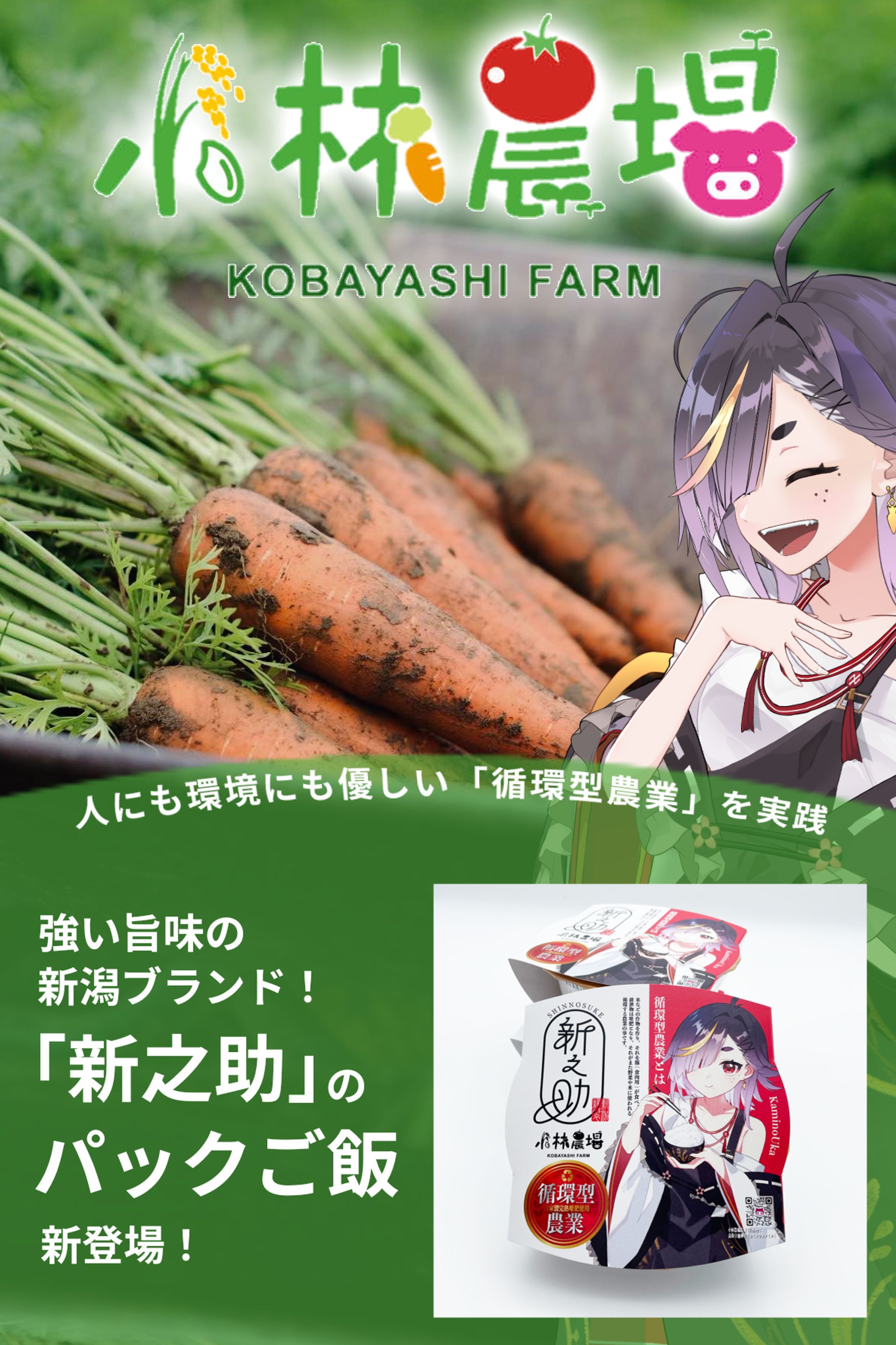 【嘉弥宇迦神子様】WEB広告-1