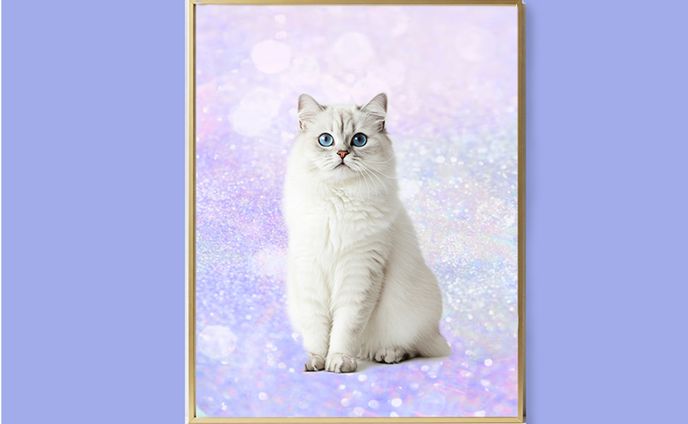 メモリアルフォト