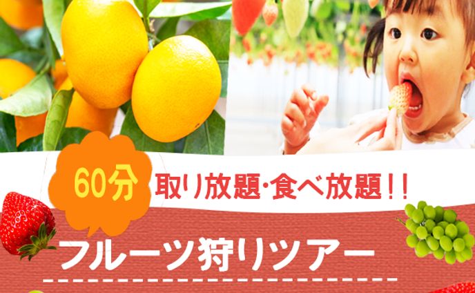 バナー：フルーツ狩りツアー