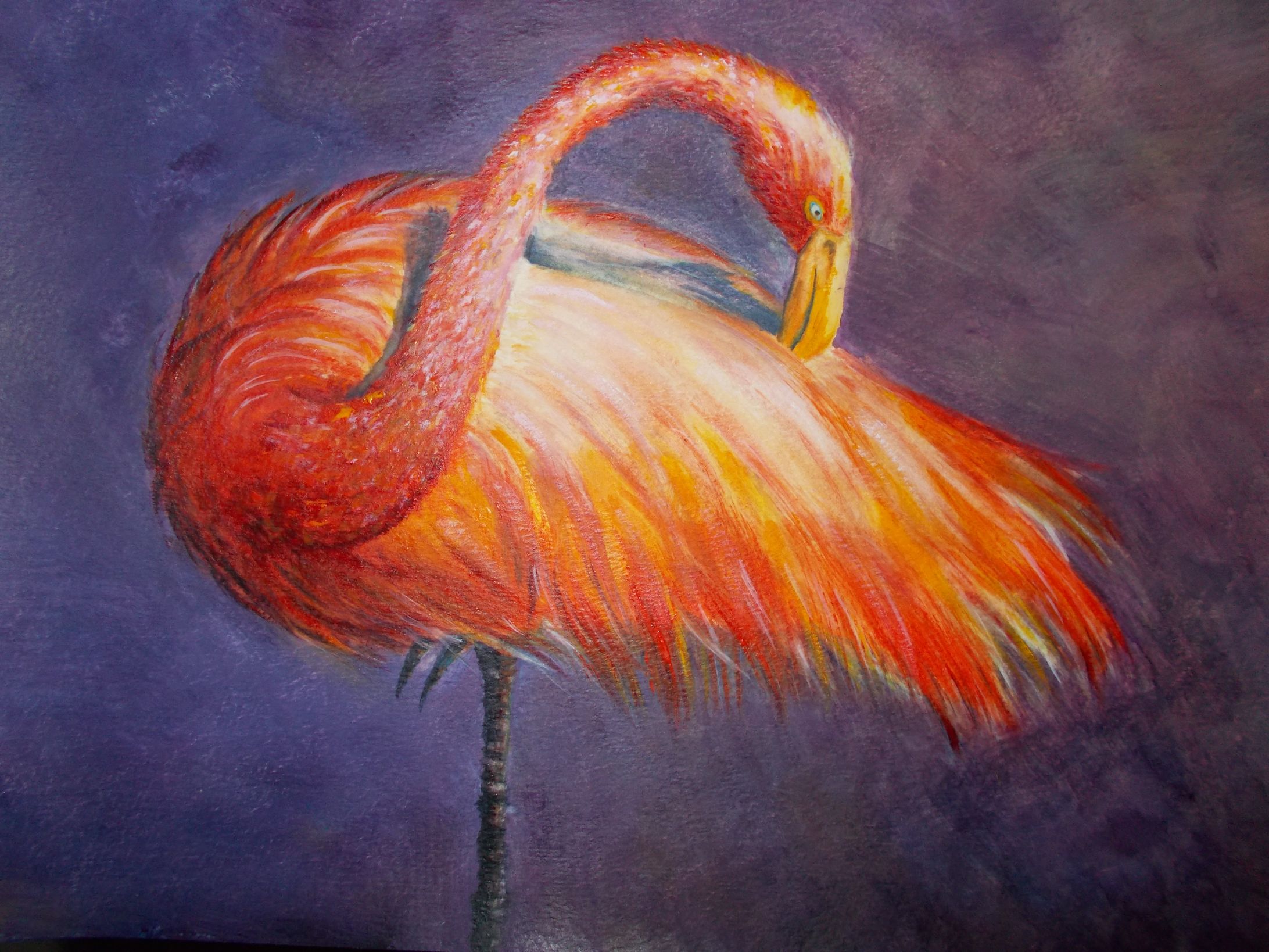 FLAMINGO-1