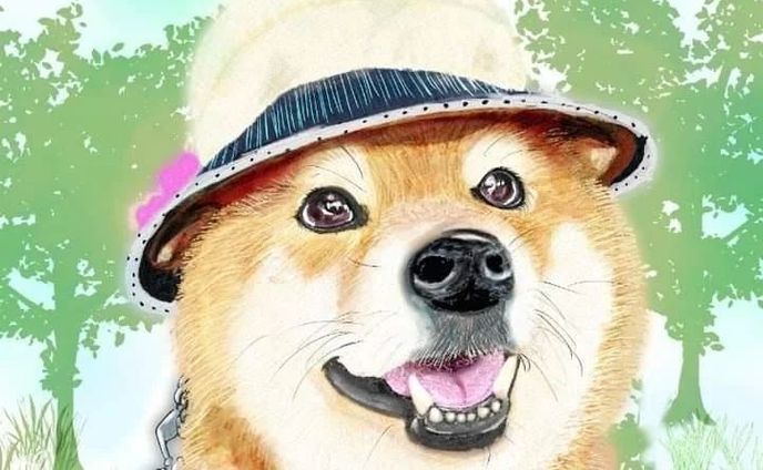 初めてのお客様です👏⁡
⁡テレビにも取り上げられるほどプリチーな麦太郎くん！可愛らしくて可愛らしくてたまりません…立派にお兄さんをやっておられるご様子。暑さ防止、大事ですね😣💪⁡
⁡・
⁡@pocha0719  ぽしょこ様、描かせて下さりありがとうございました☺💕⁡⁡
⁡可愛らしい動画がたくさんアップされていますので是非見てみてください。
⁡・⁡
⁡まだイラスト受付中です。⁡お代は800円+振込手数料で、ゆうちょ銀行でのお支払いをお願いしておりますm(_ _)m⁡
⁡・
大切なペットちゃん、誠心誠意描かせて頂きます。⁡
⁡・⁡
⁡・⁡
⁡ #イラストオーダー⁡
⁡ #柴犬⁡
⁡ #犬イラスト ⁡
⁡ #愛犬との暮らし ⁡
⁡ #デジタルイラスト