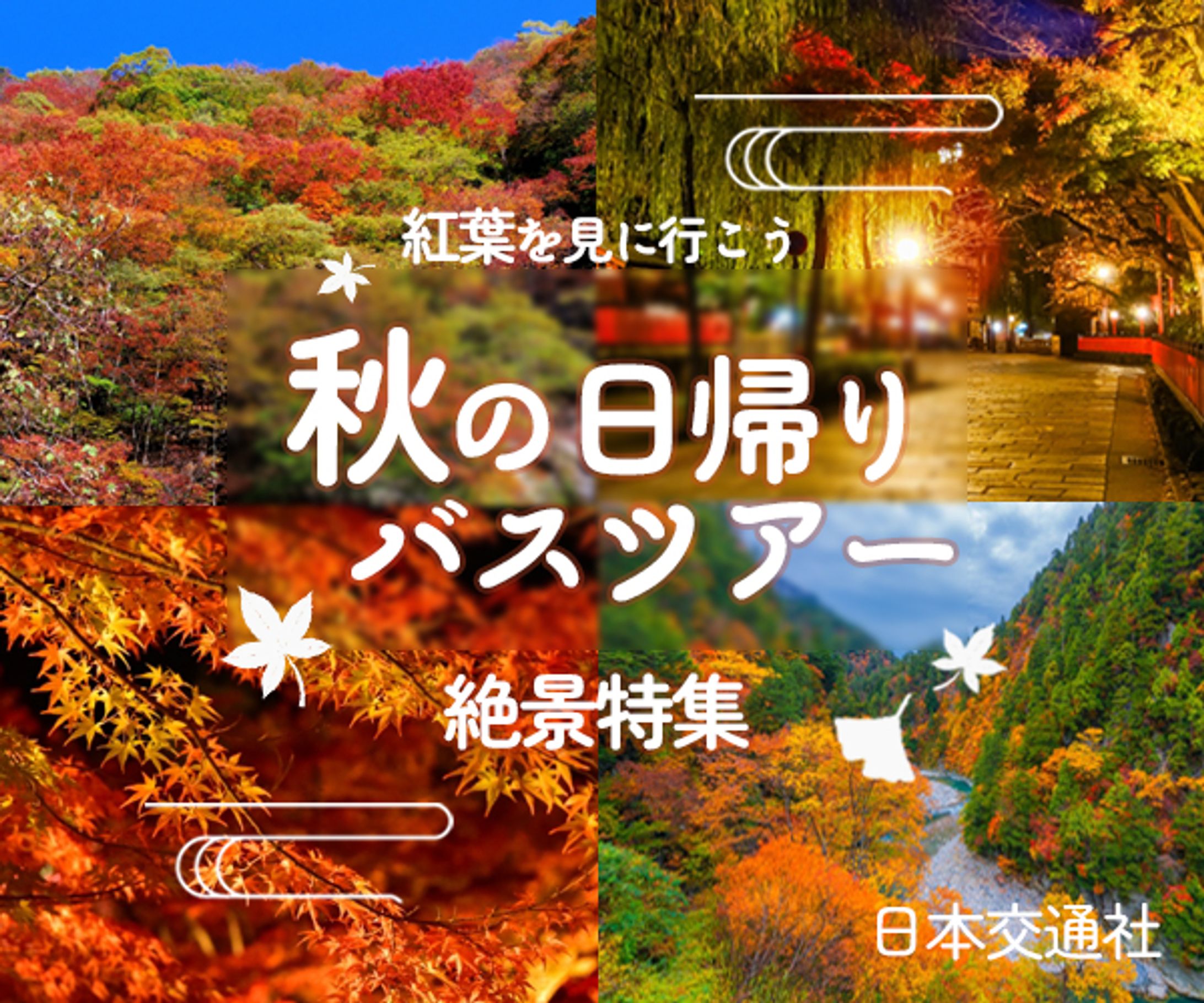 秋の日帰りツアー-1