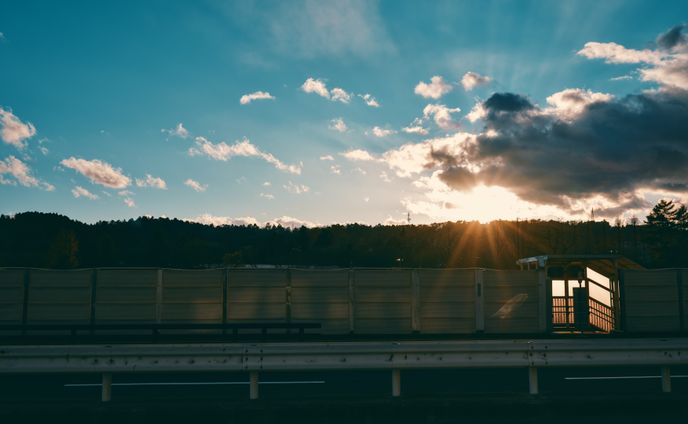 Photo of the author. (December 2024)