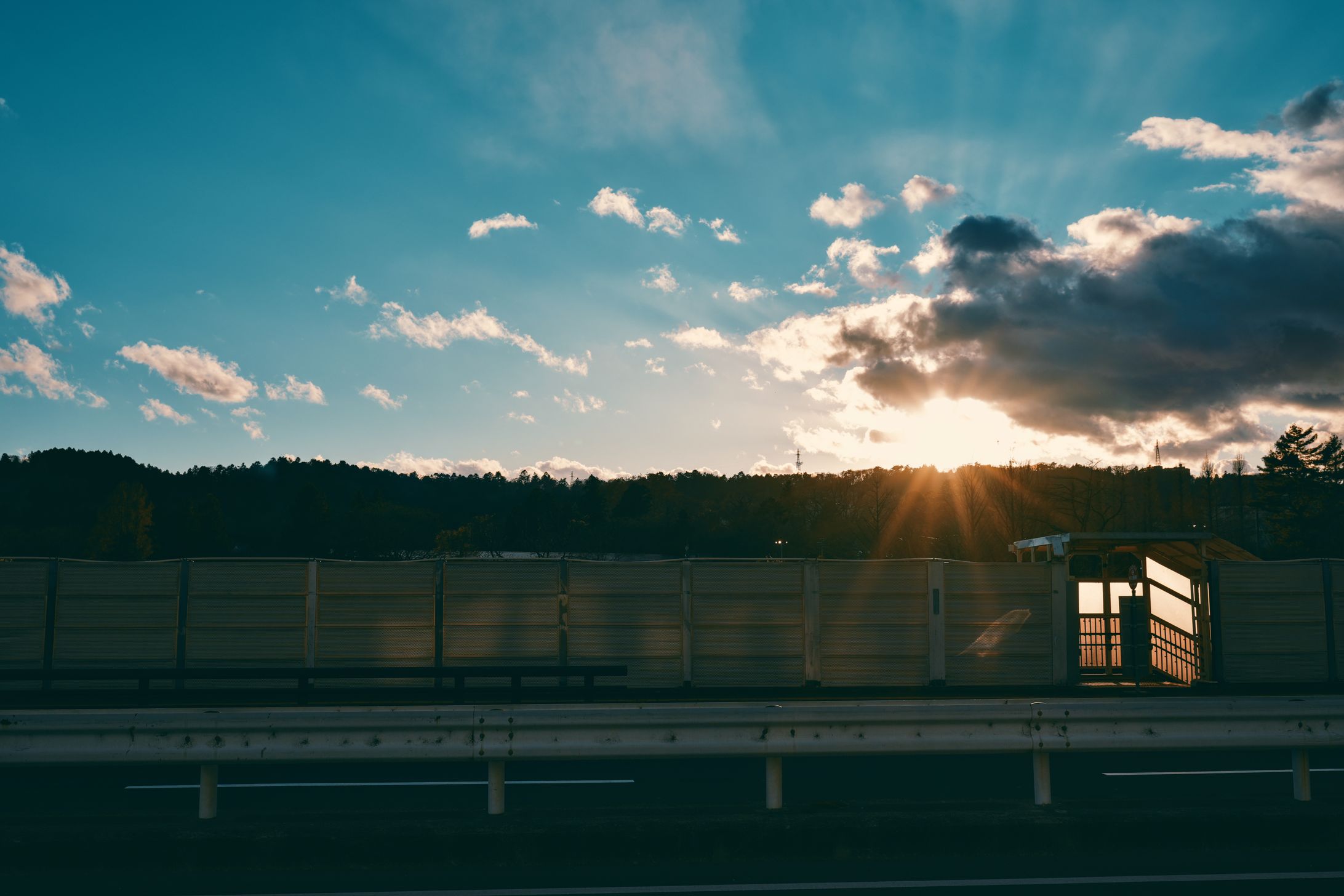 Photo of the author. (December 2024)-1