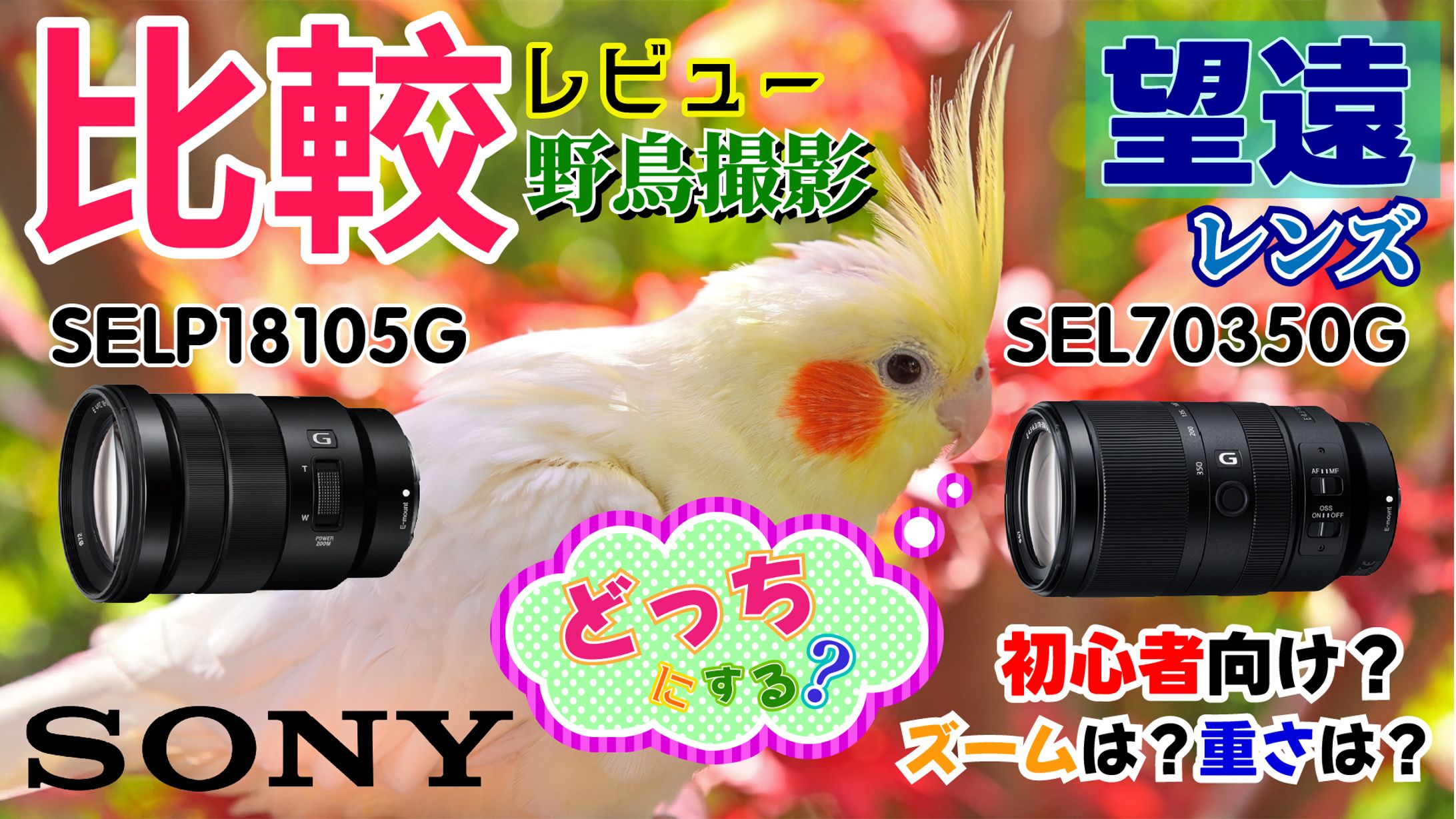 Youtube用サムネイル-1