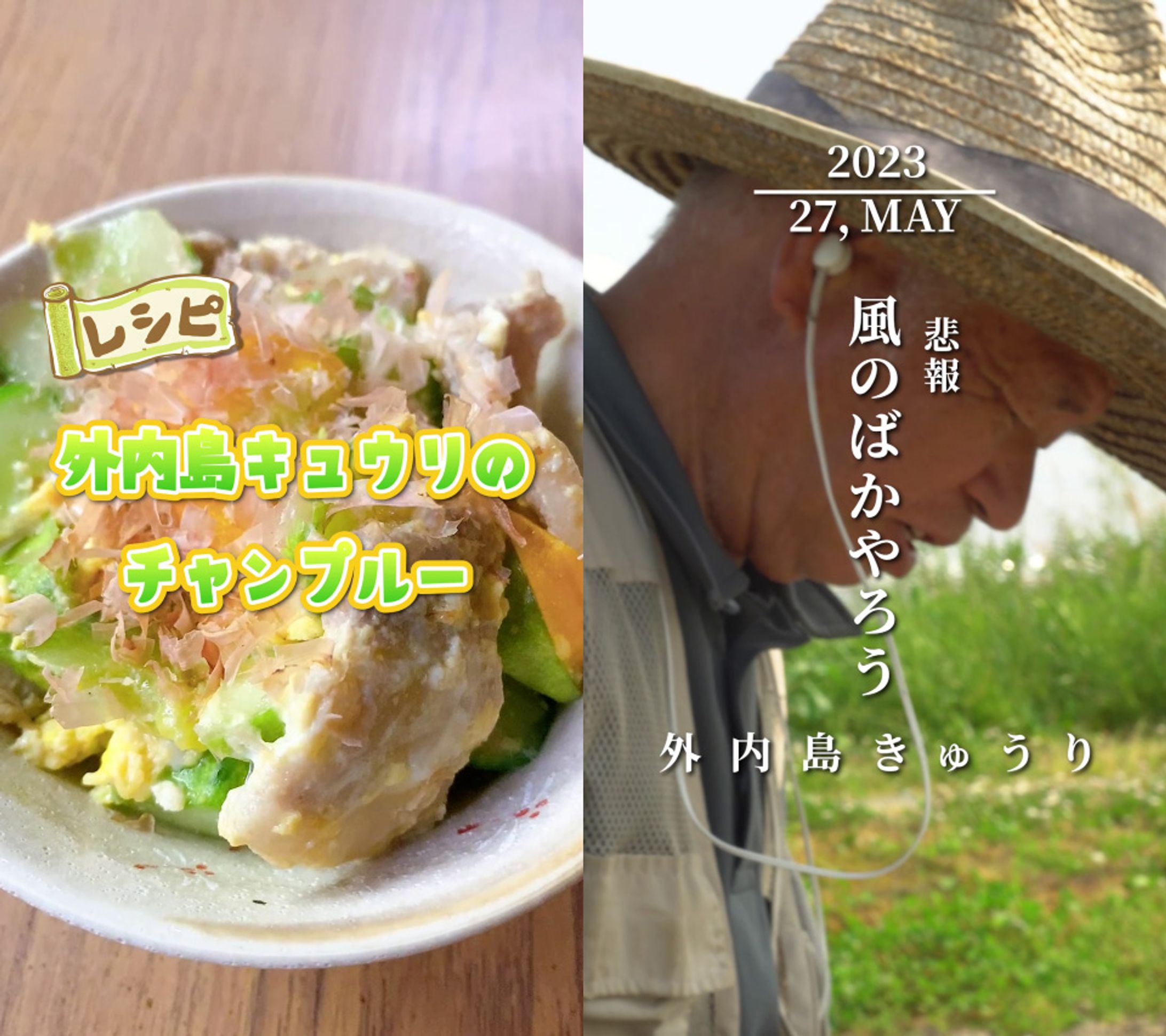 【縦型ショート】外内島きゅうりの畑から-1