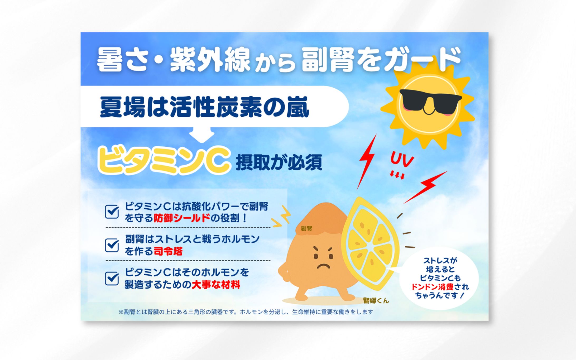 教育POP |「暑さ・紫外線から副腎をガード」-1