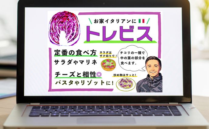 【実績】　トレビスPOP