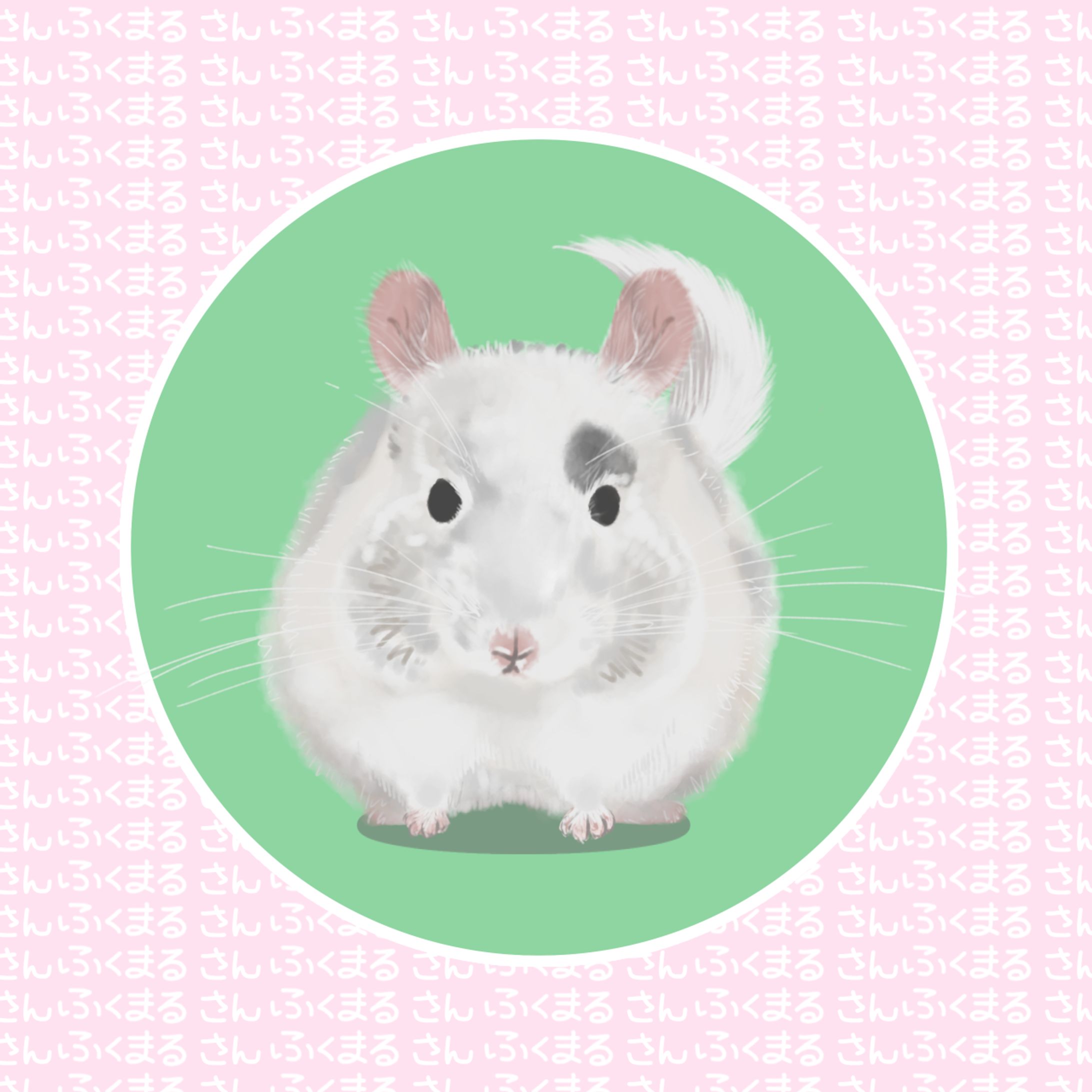 おしゃれチンチラ-1