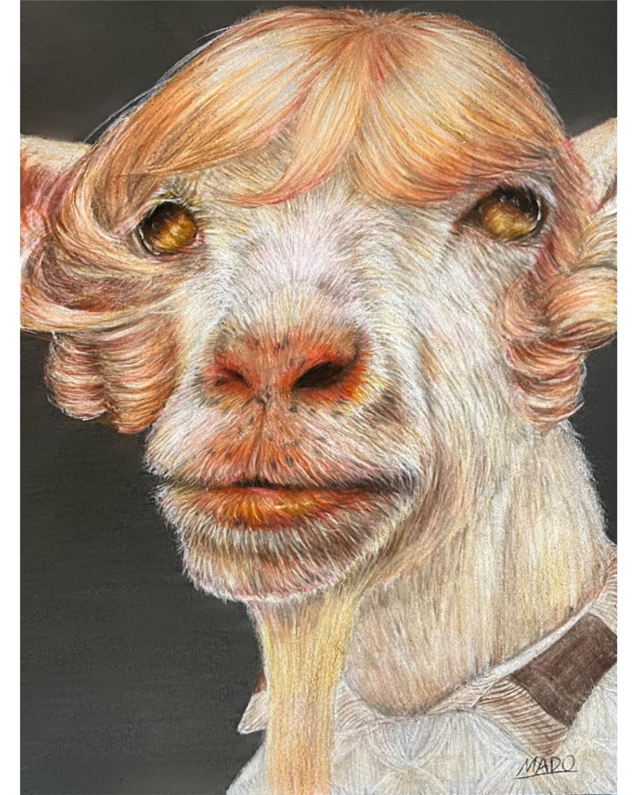 「意外と似合う」

B4: 257mm×364mm
画用紙
色鉛筆

#ヤギ #山羊 #goat
#animalillustration  #動物画 #色鉛筆 #colorpencil #colorpencilartist #animalartist #animaldrawing #realist #illustration #illustrator  #draw #drawing  #artwork  #works-1