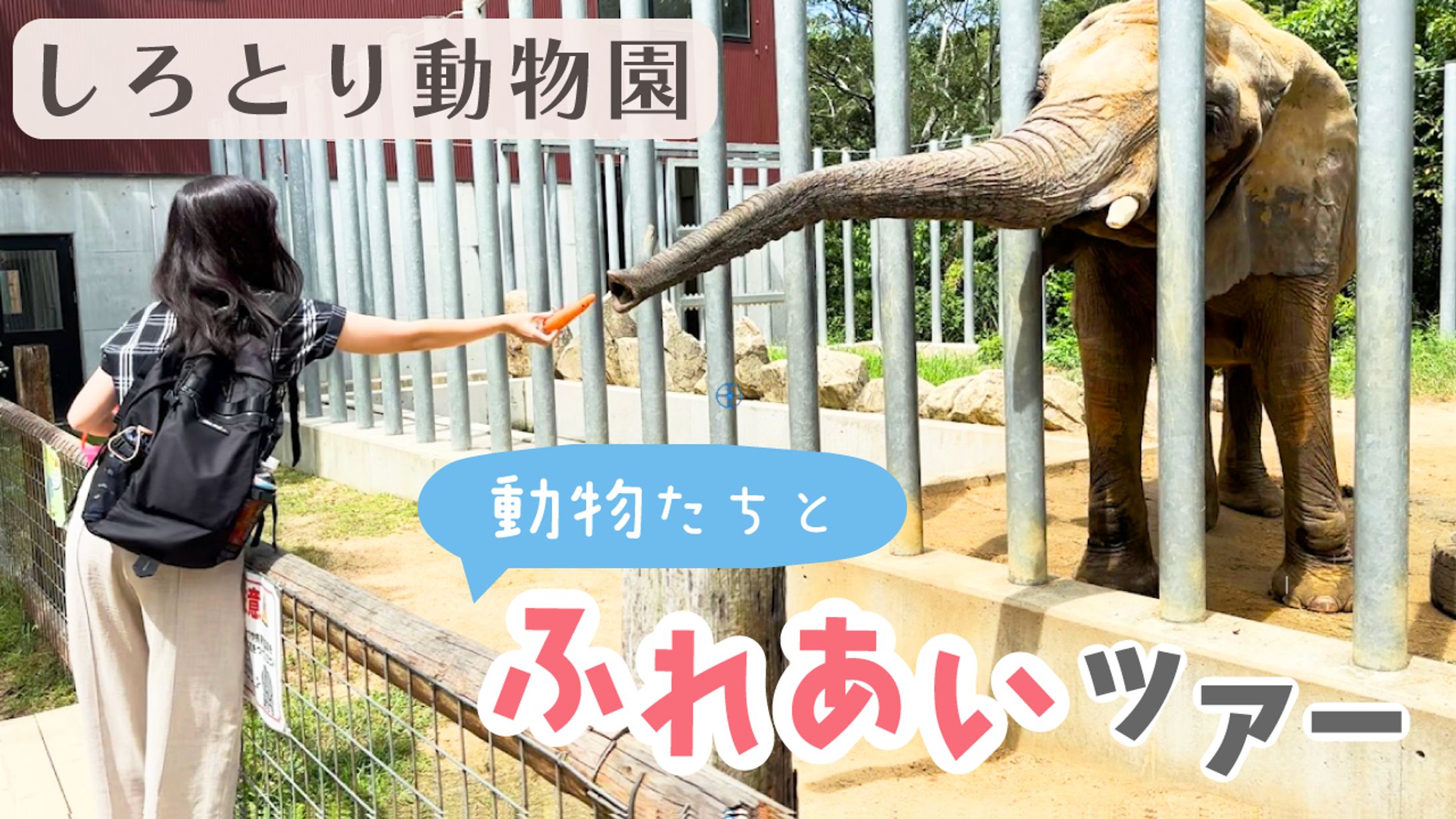 自主制作｜動物園動画のサムネイル画像-1