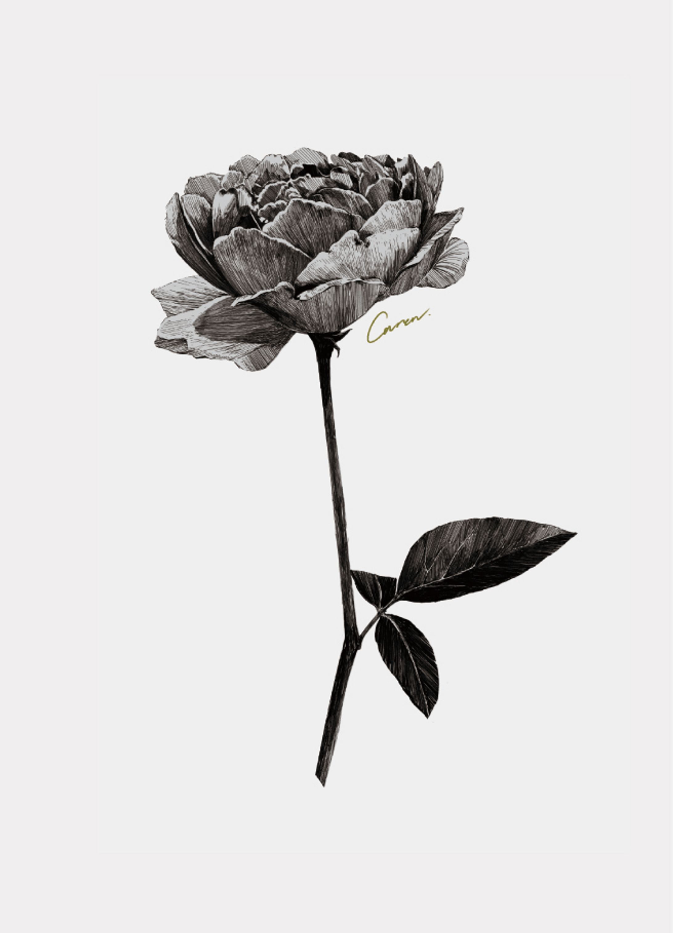 葉付きの一輪バラ-1